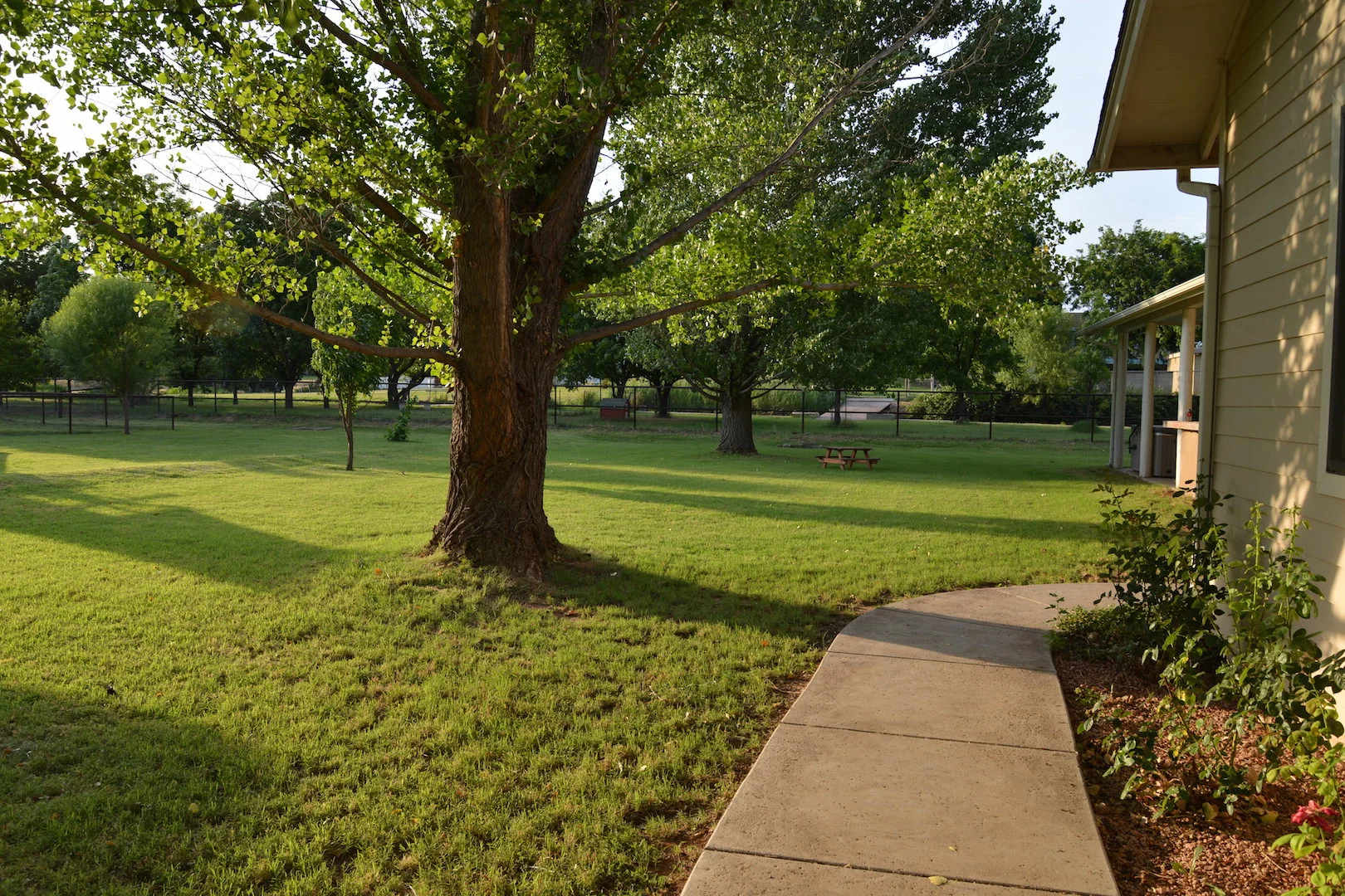 Back Side Walk.JPG