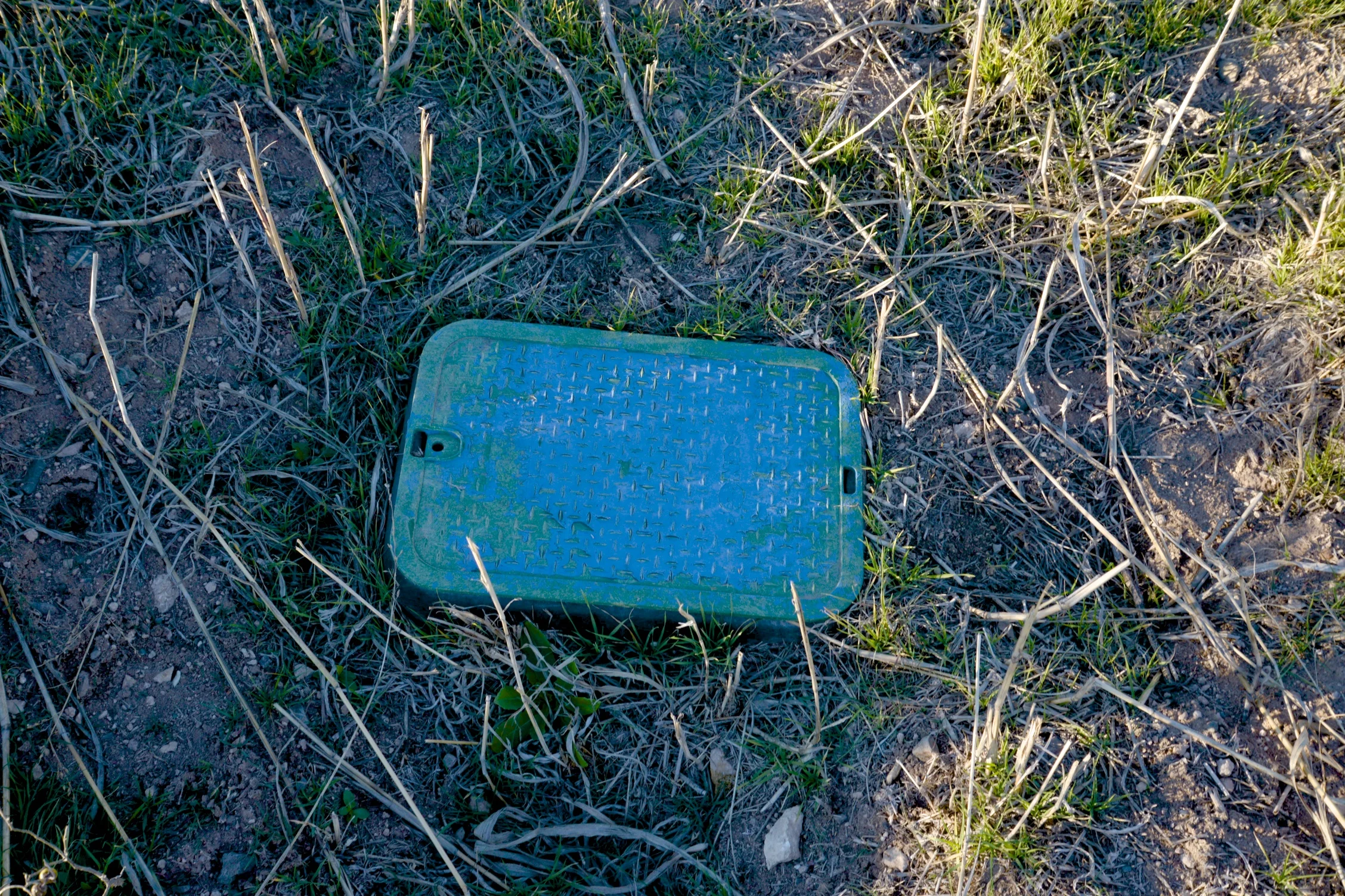 DSC_4278 - Version 2.jpg