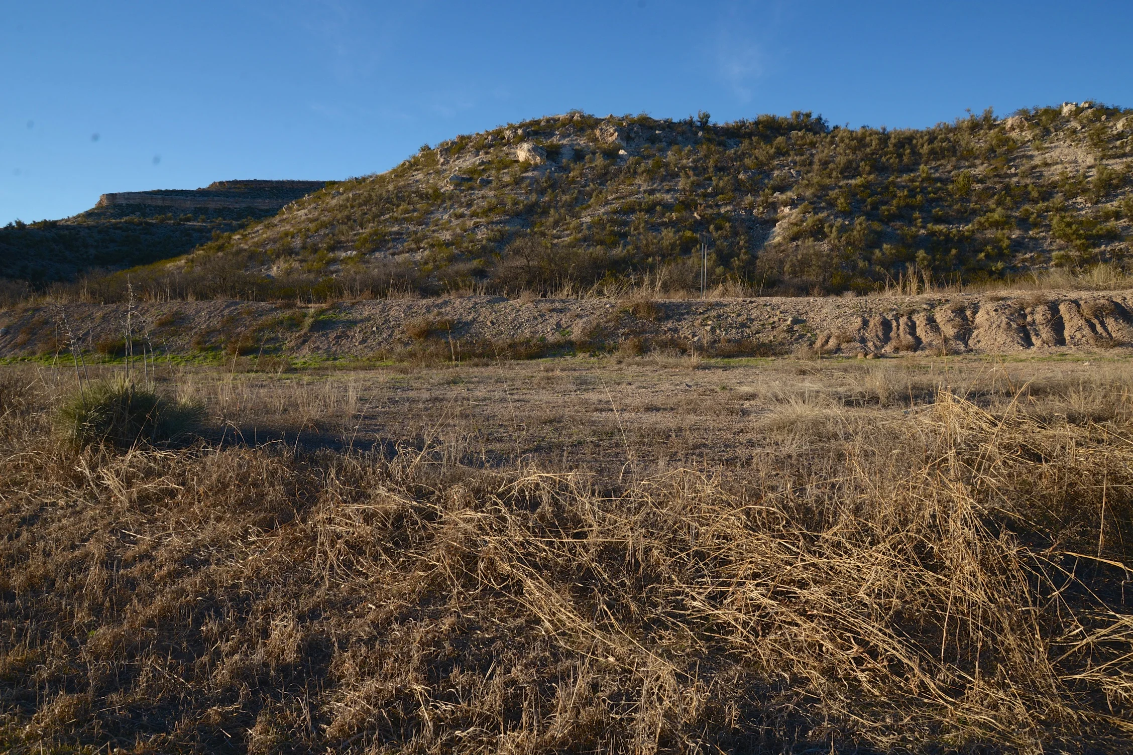 DSC_4279 - Version 2.jpg