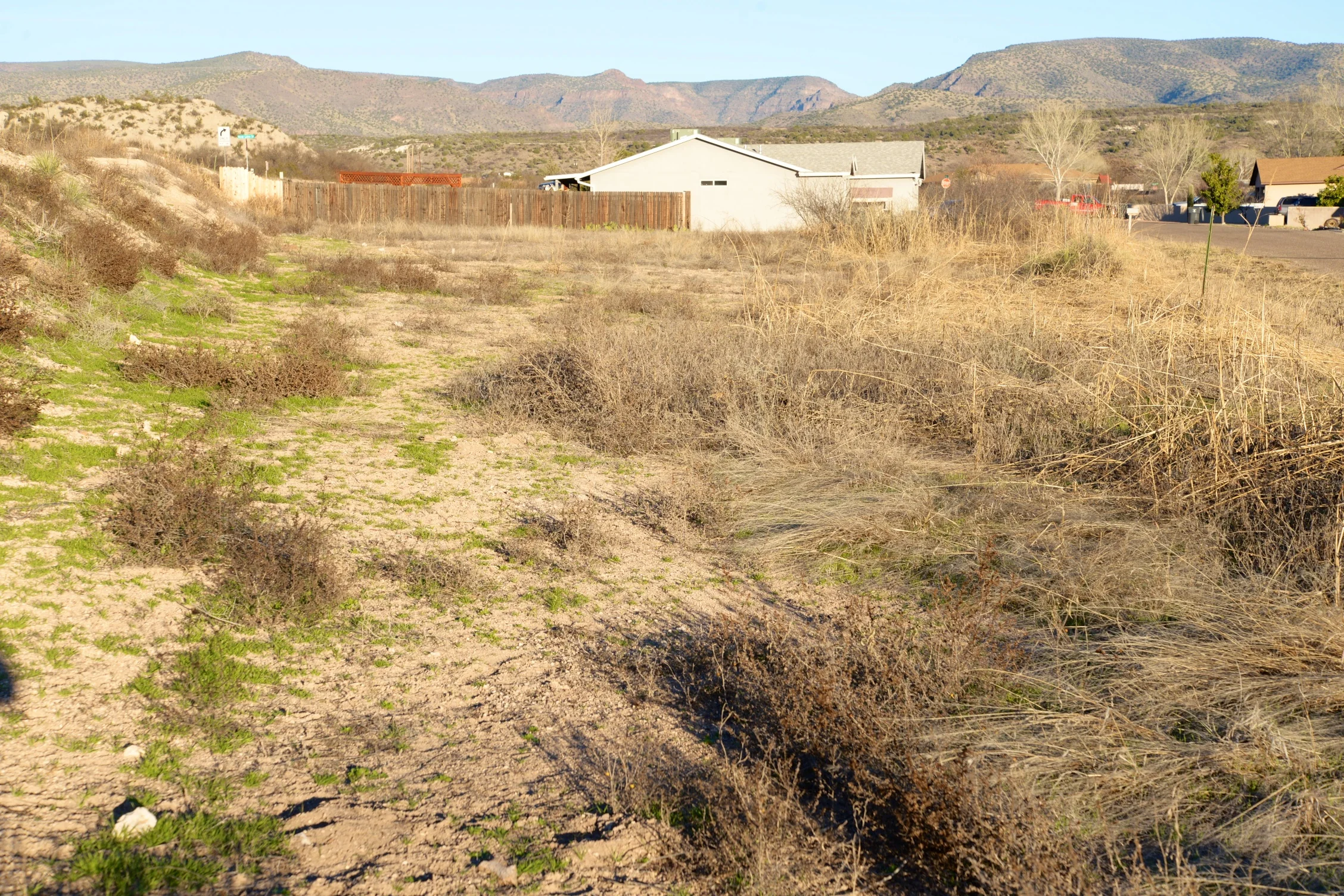 DSC_4288 - Version 2.jpg