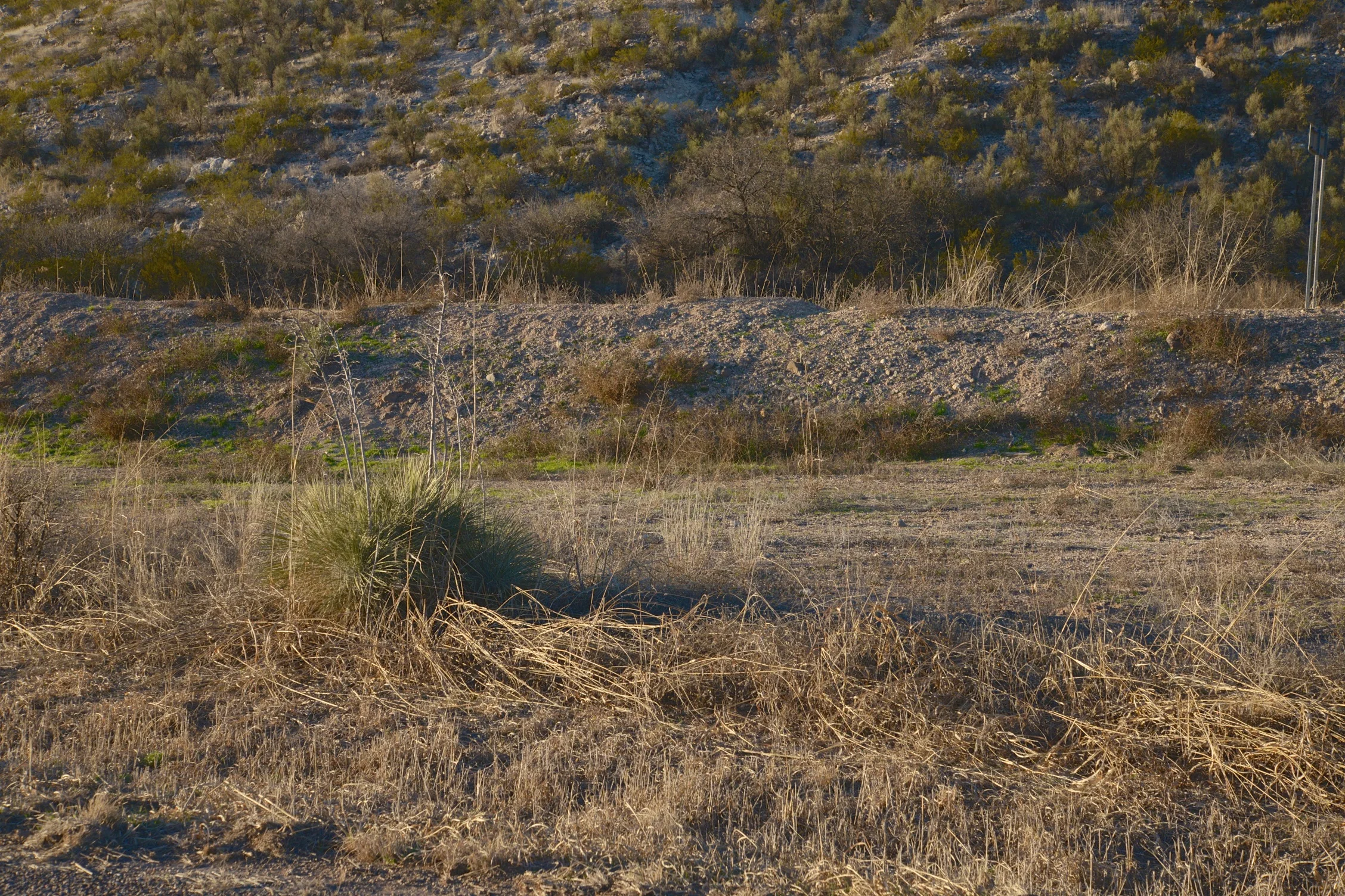 DSC_4295 - Version 2.jpg