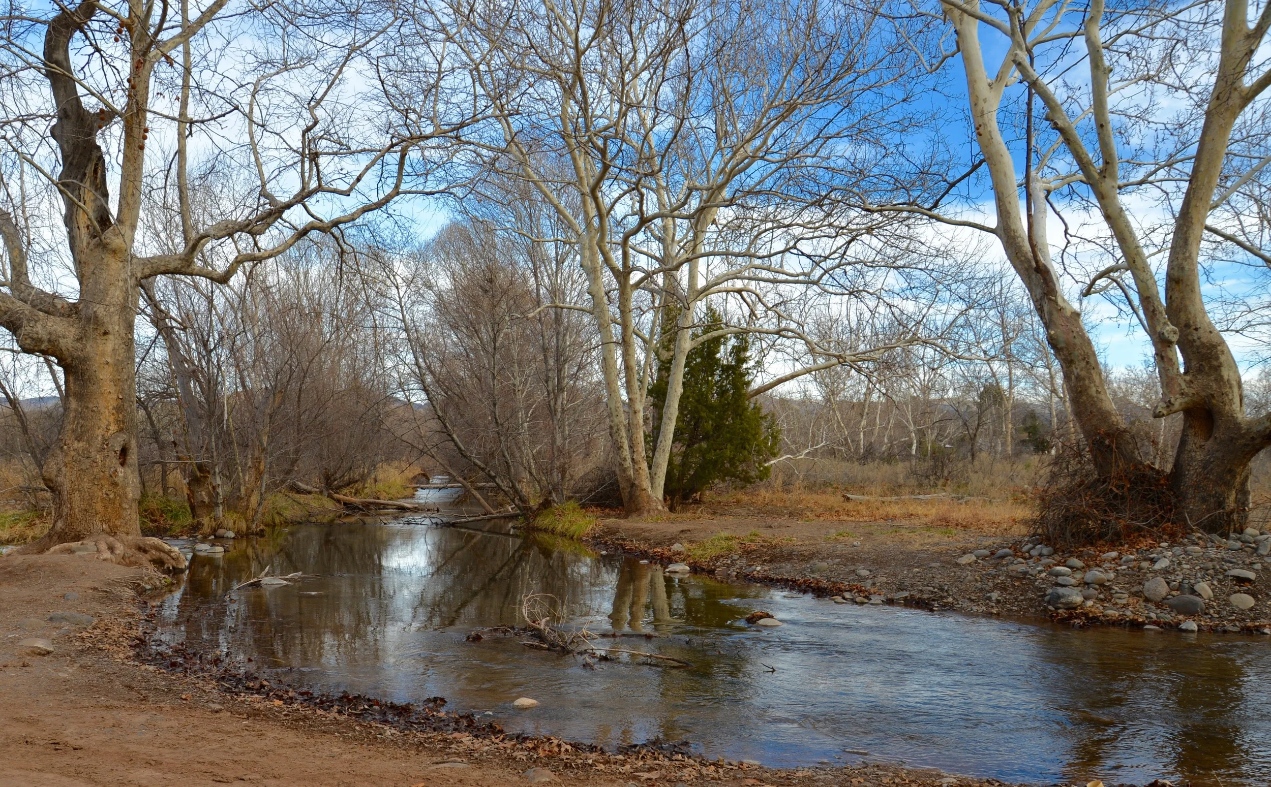 DSC_0935.jpg
