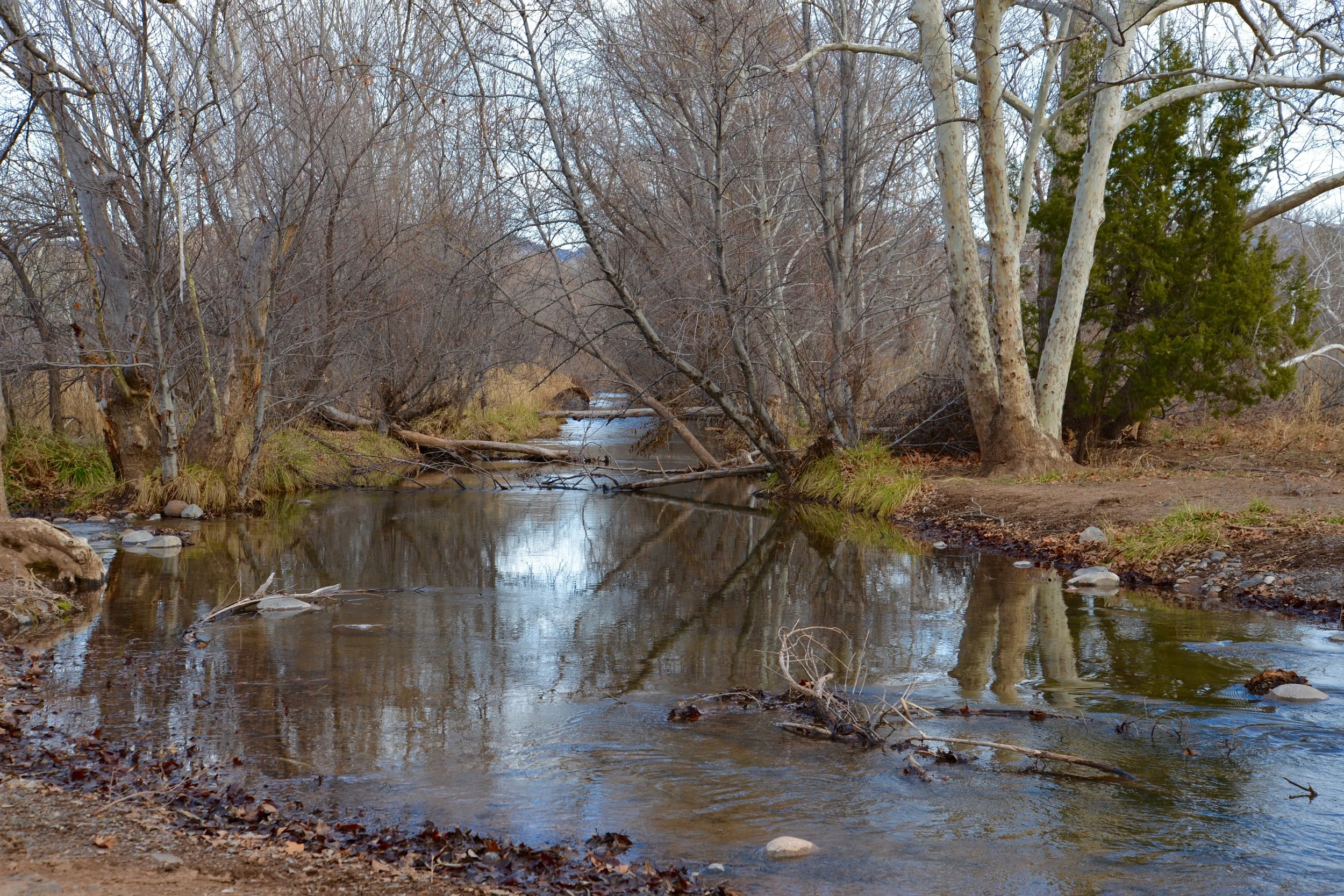 DSC_0936.jpg