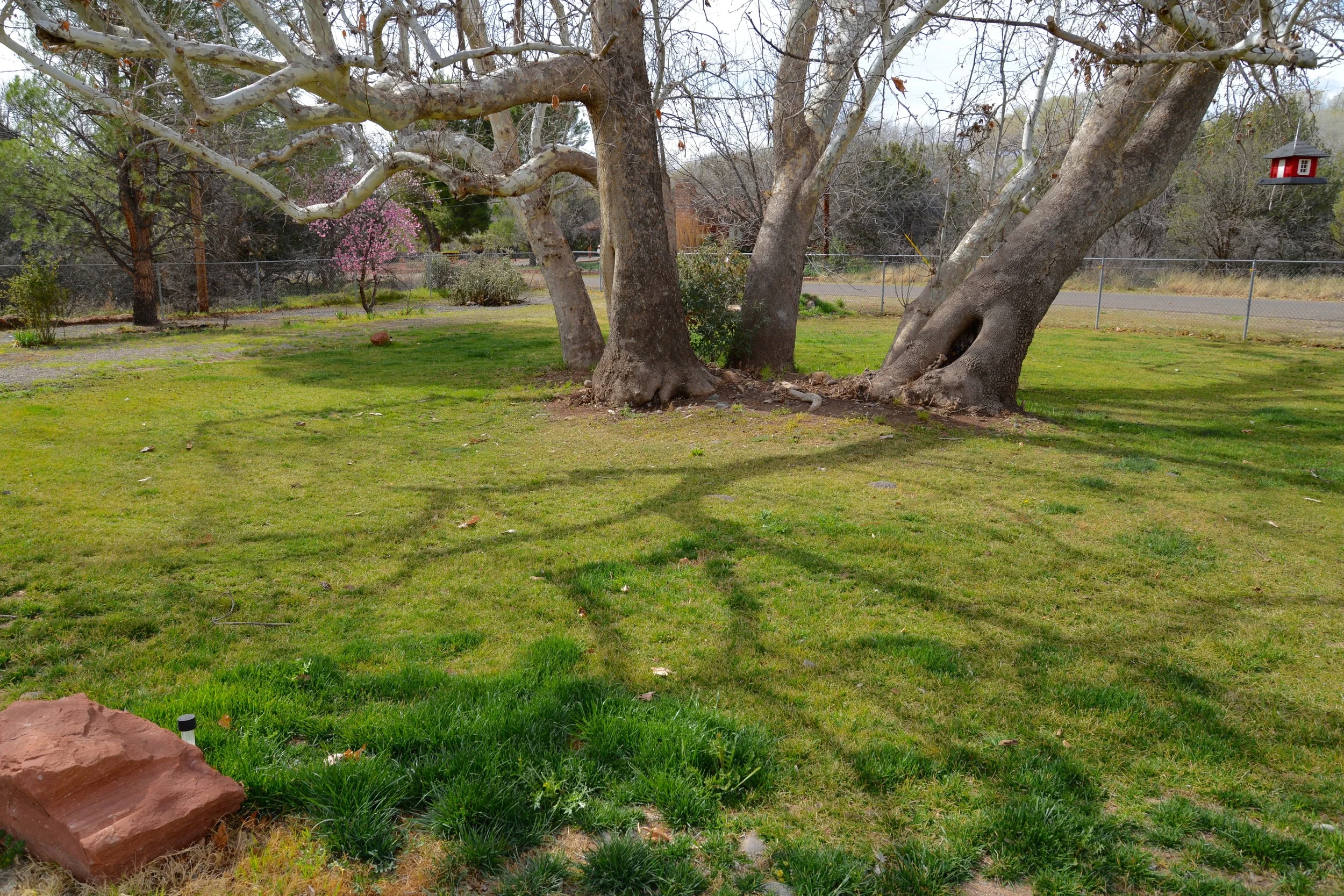 DSC_2197.jpg