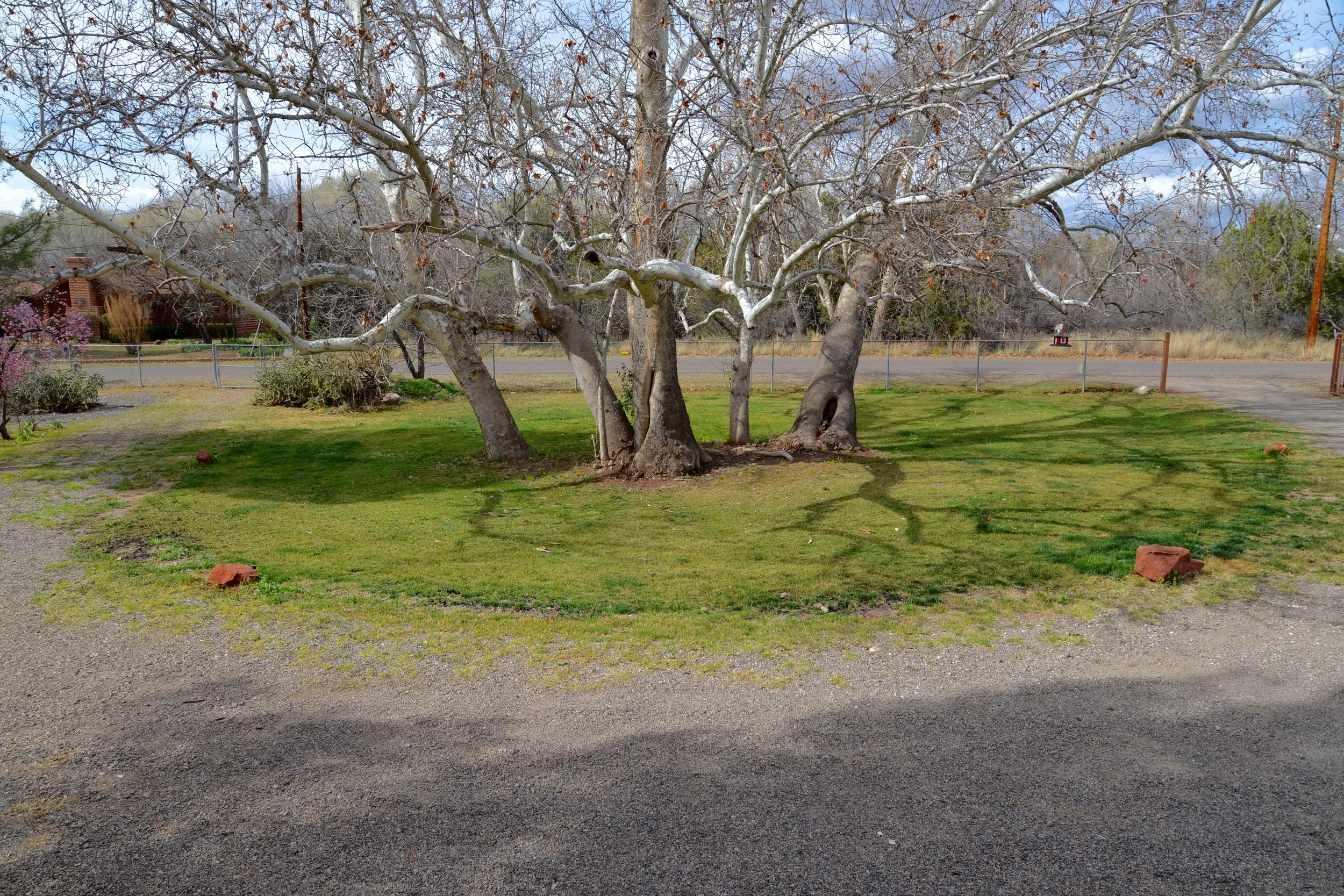 DSC_2202.jpg