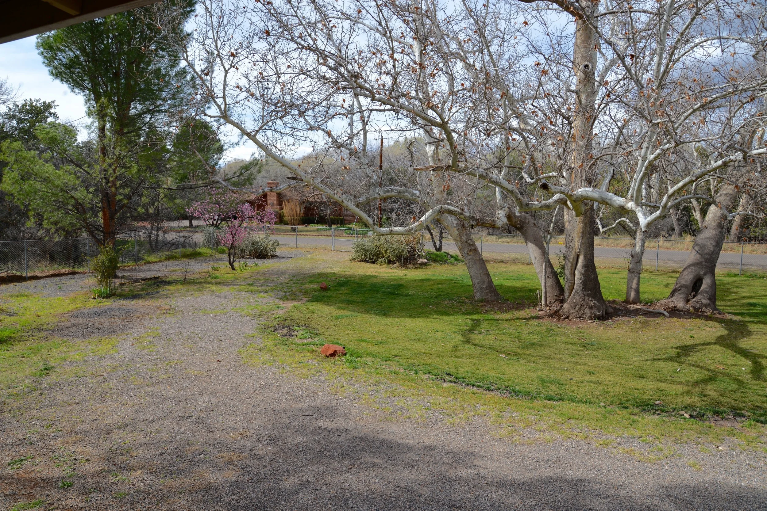 DSC_2203.jpg