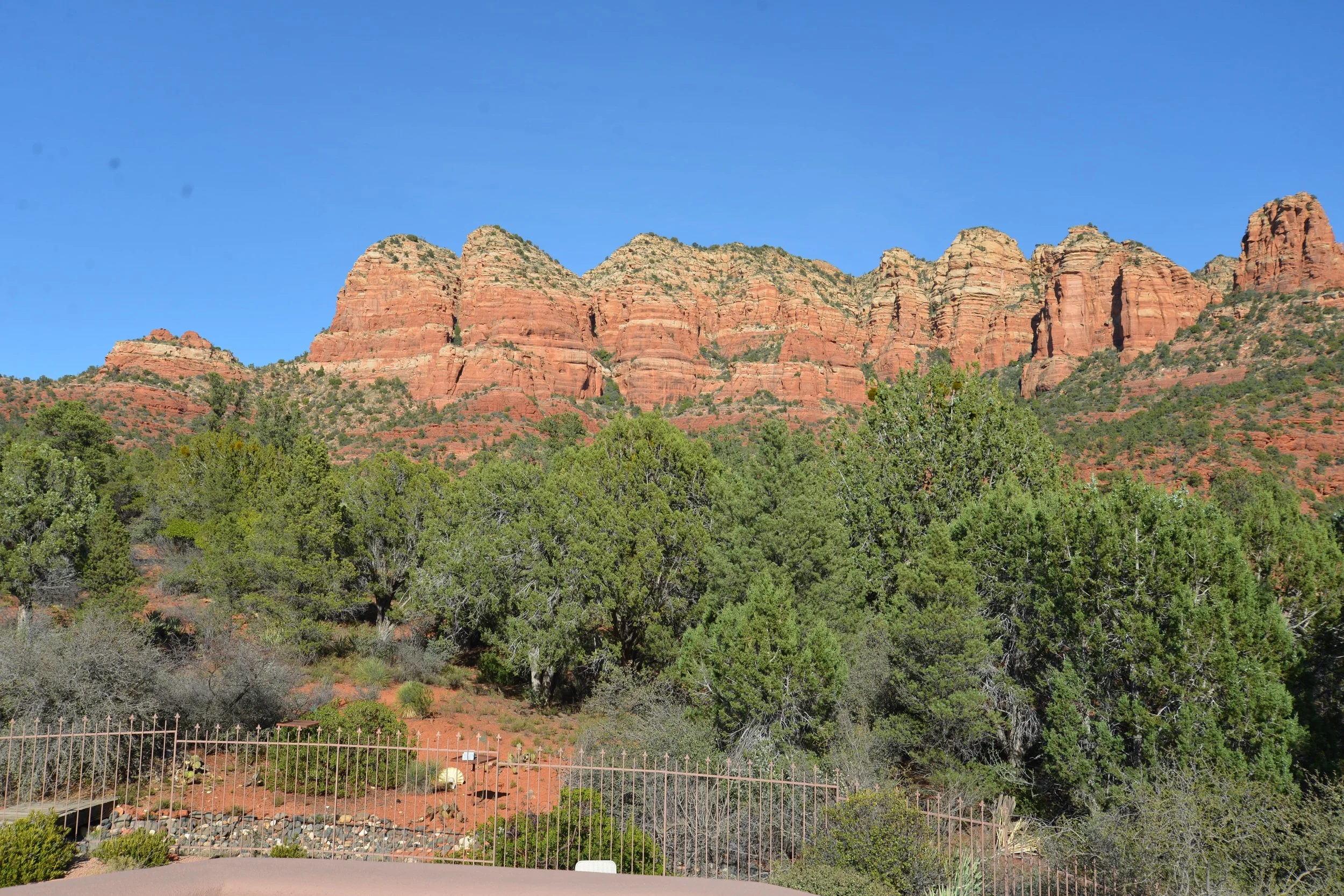 DSC_2400.jpg