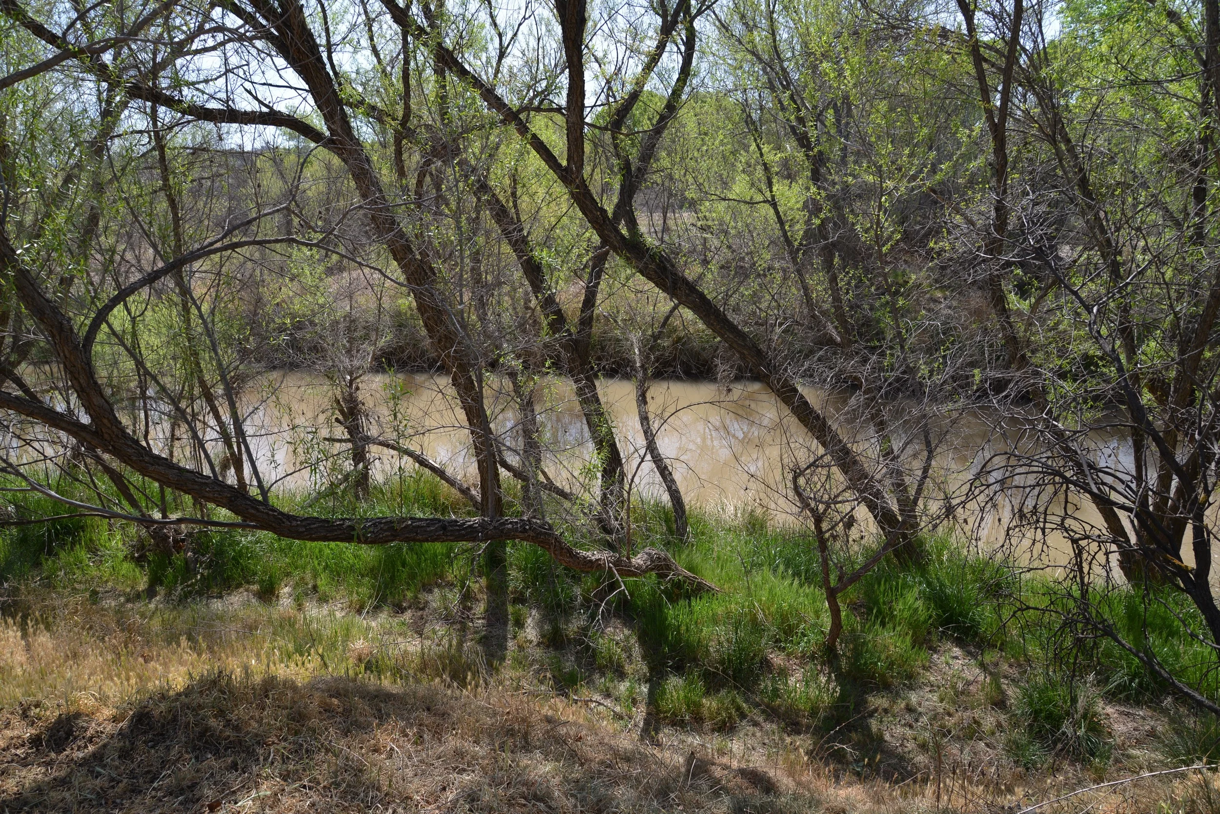 DSC_2674.jpg