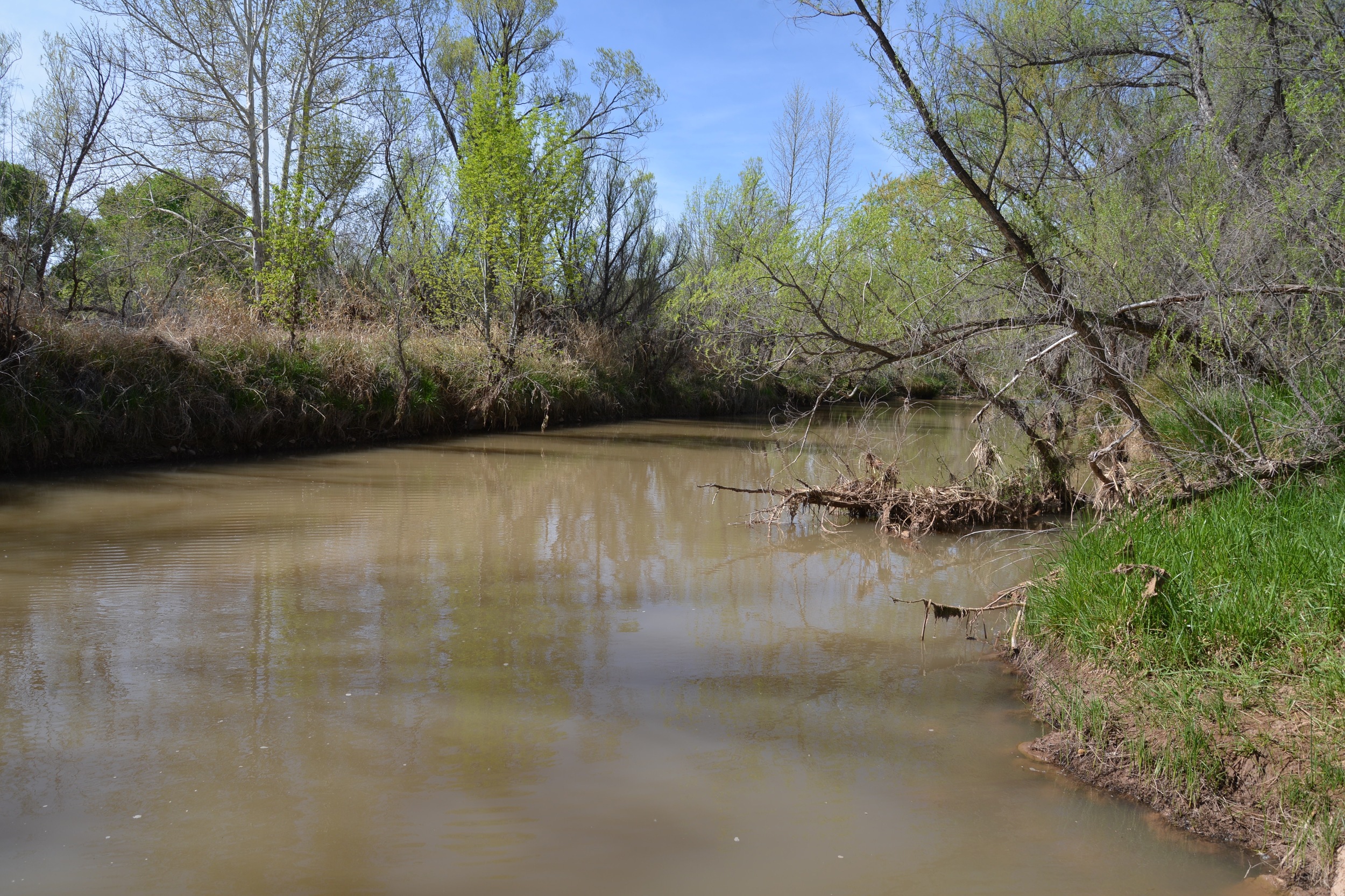 DSC_2681.jpg