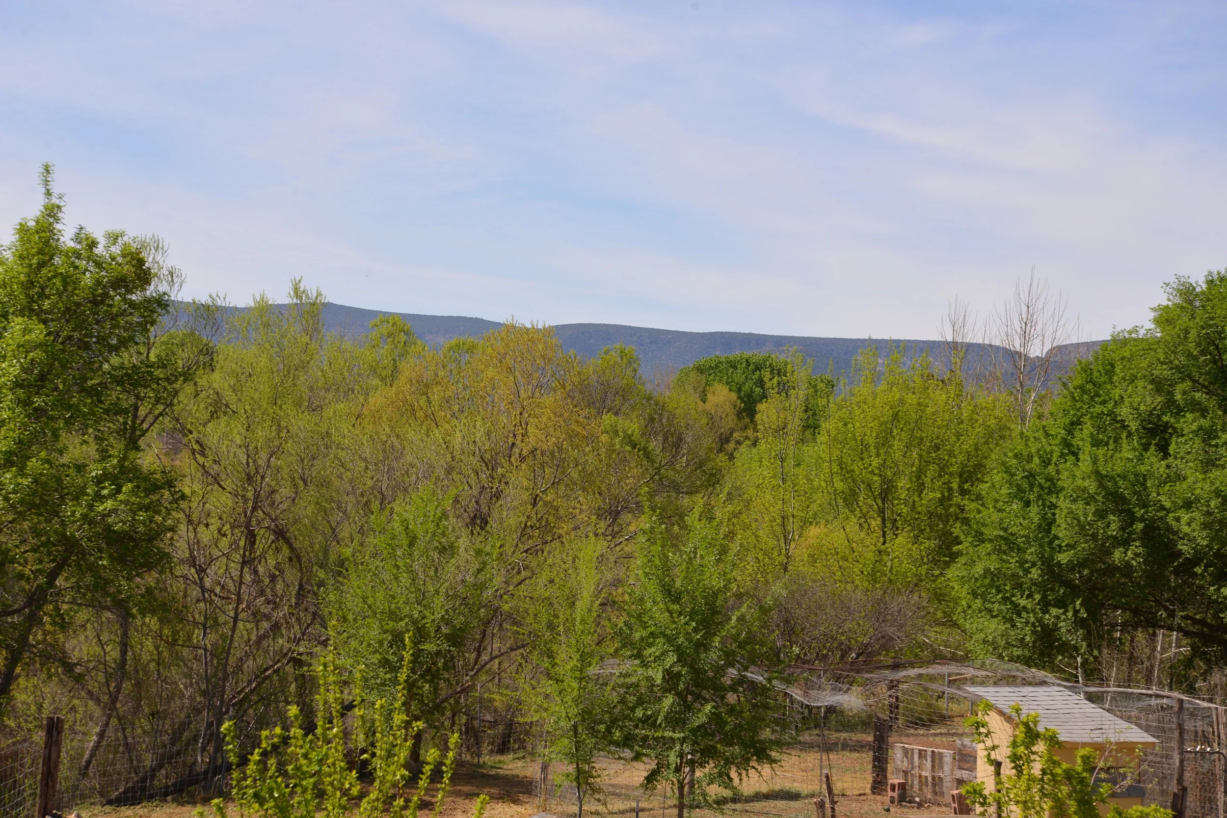 DSC_2695.jpg