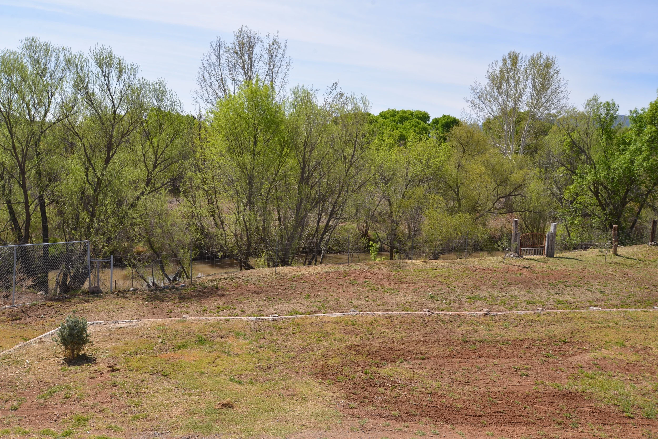 DSC_2696.jpg