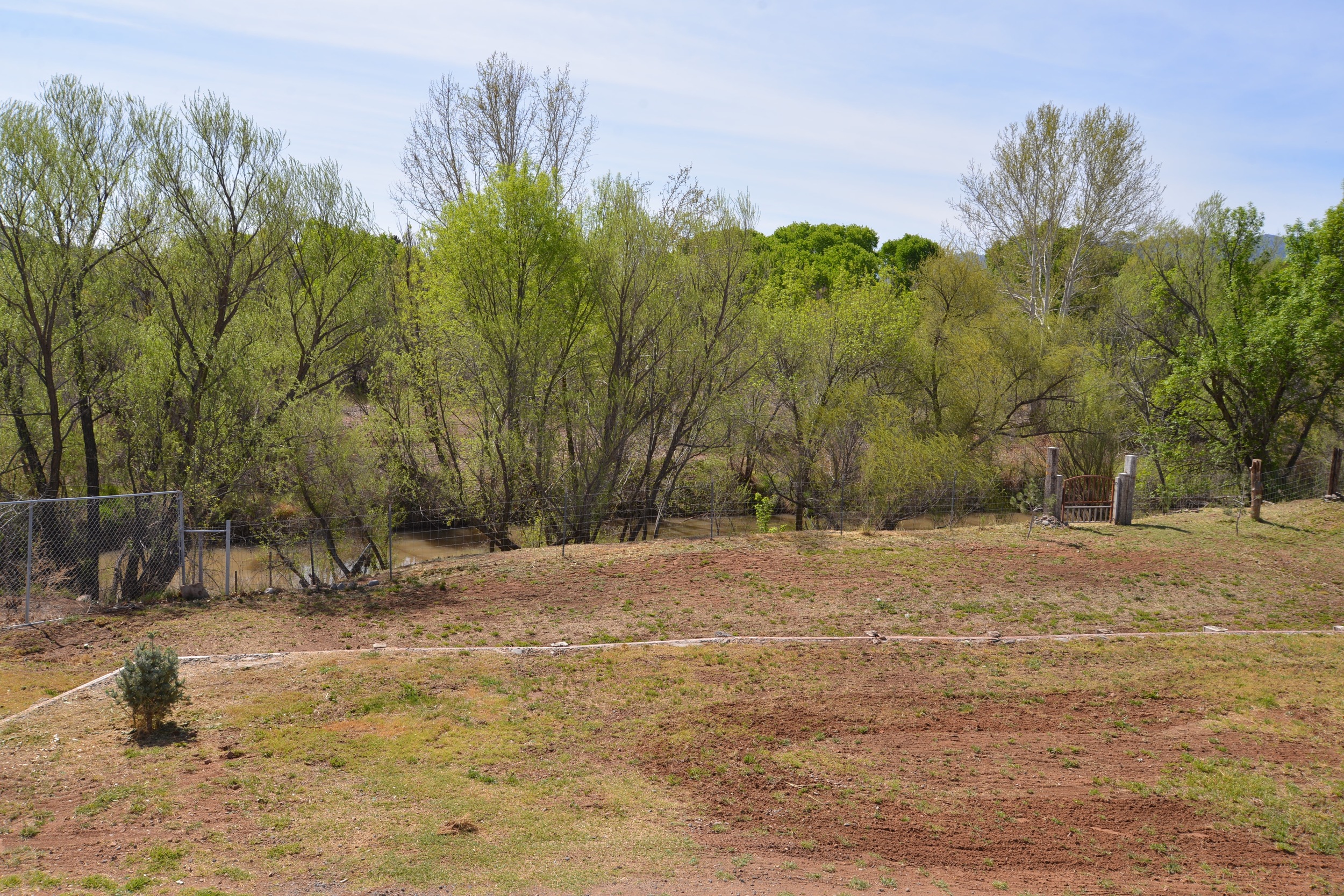 DSC_2696.jpg
