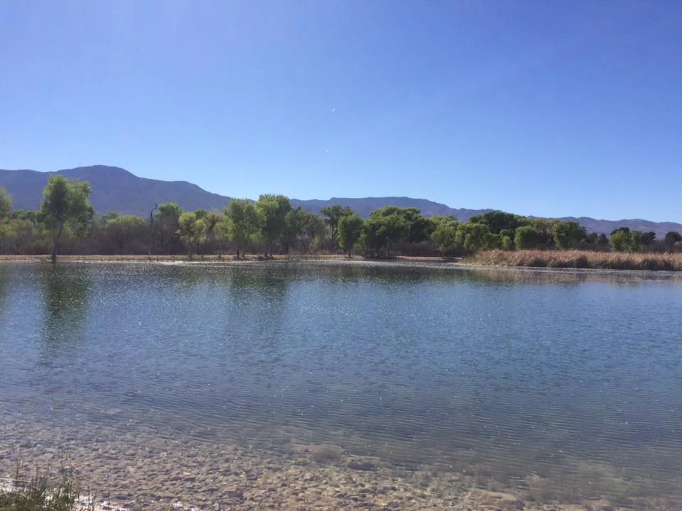 April in Arizona