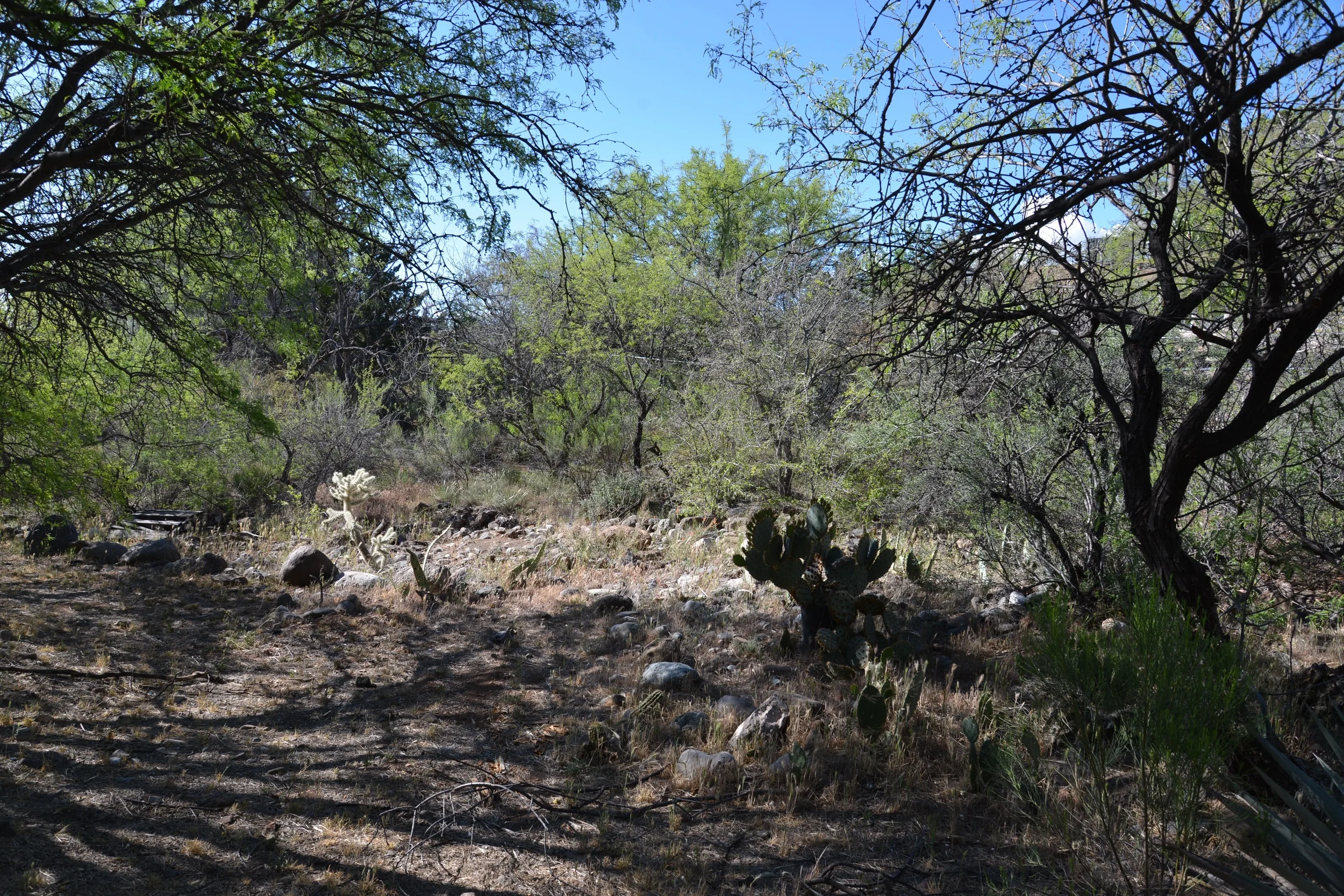DSC_2787.jpg