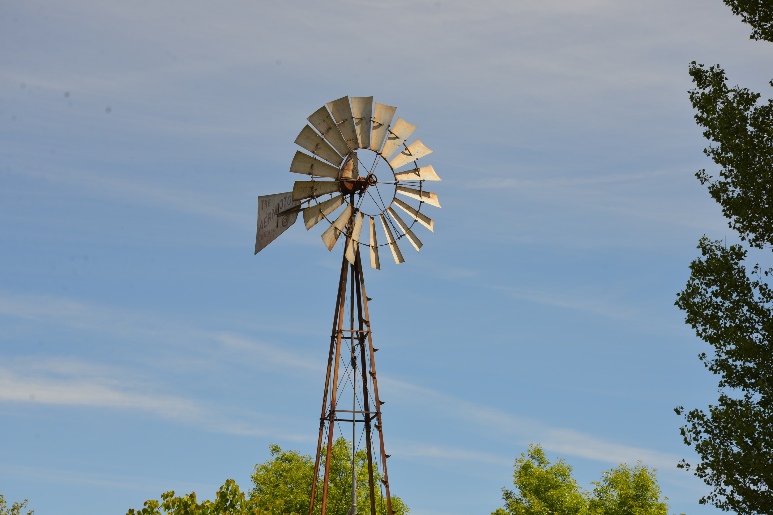 DSC_3194.JPG