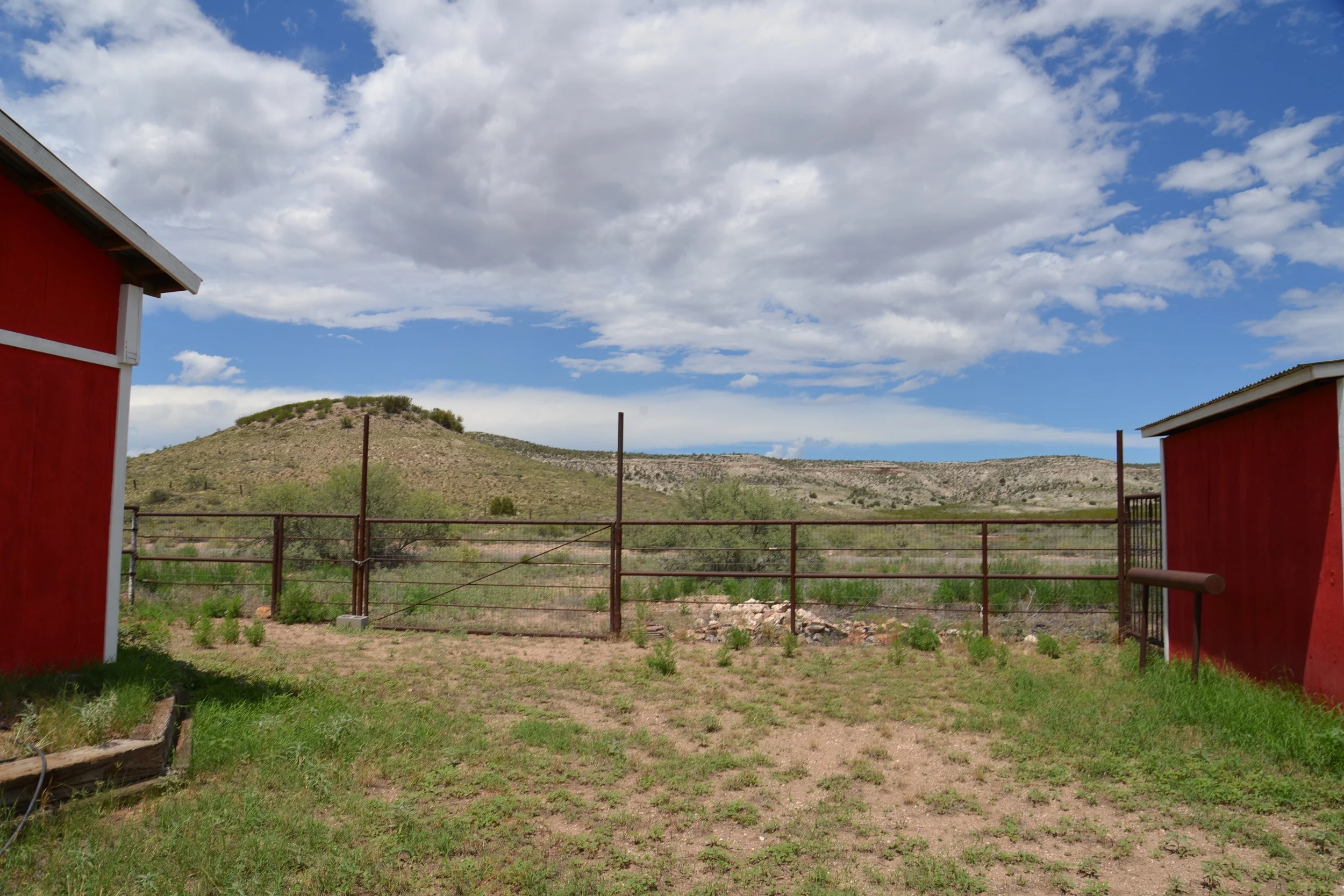 DSC_4207.jpg