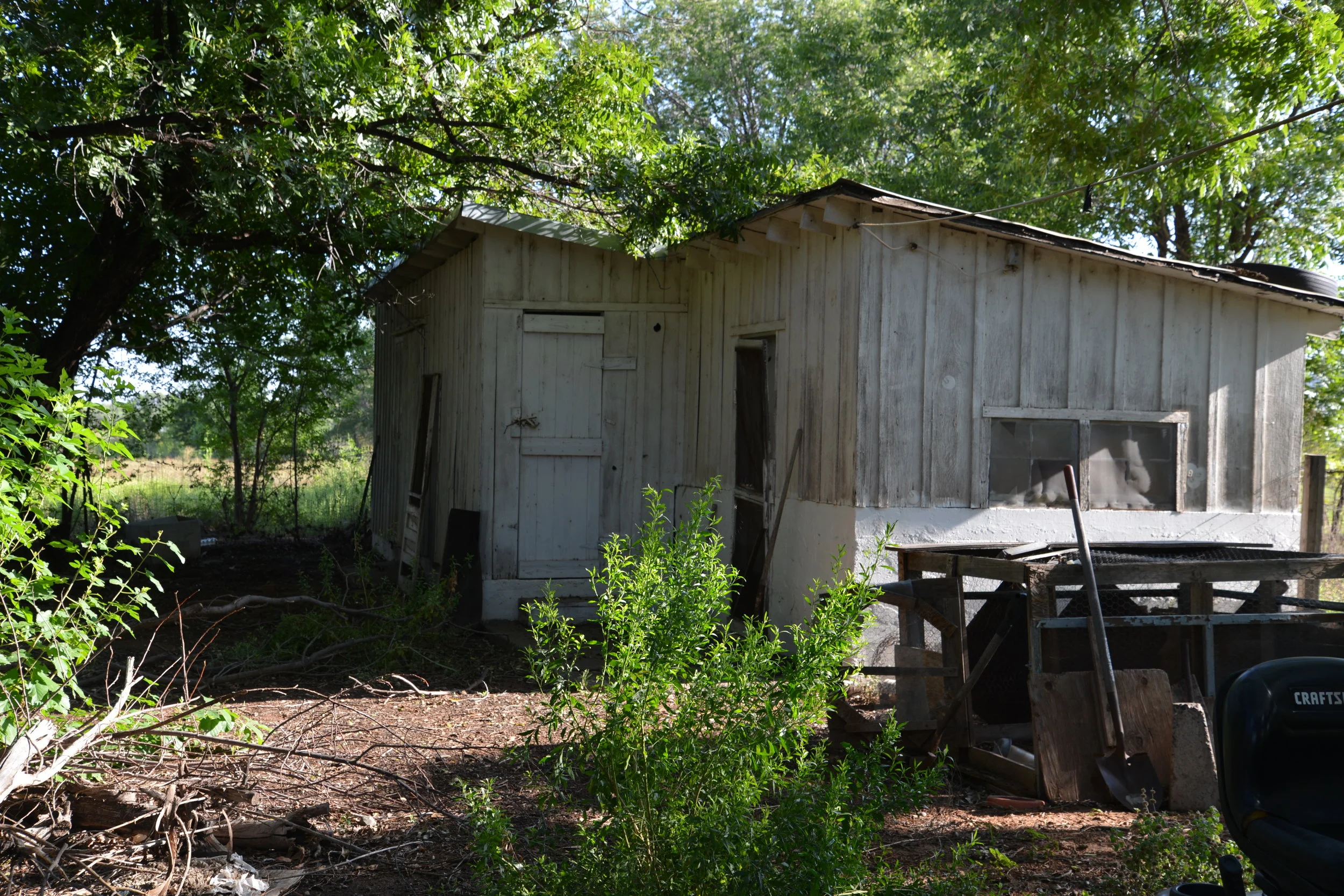 DSC_4432.JPG