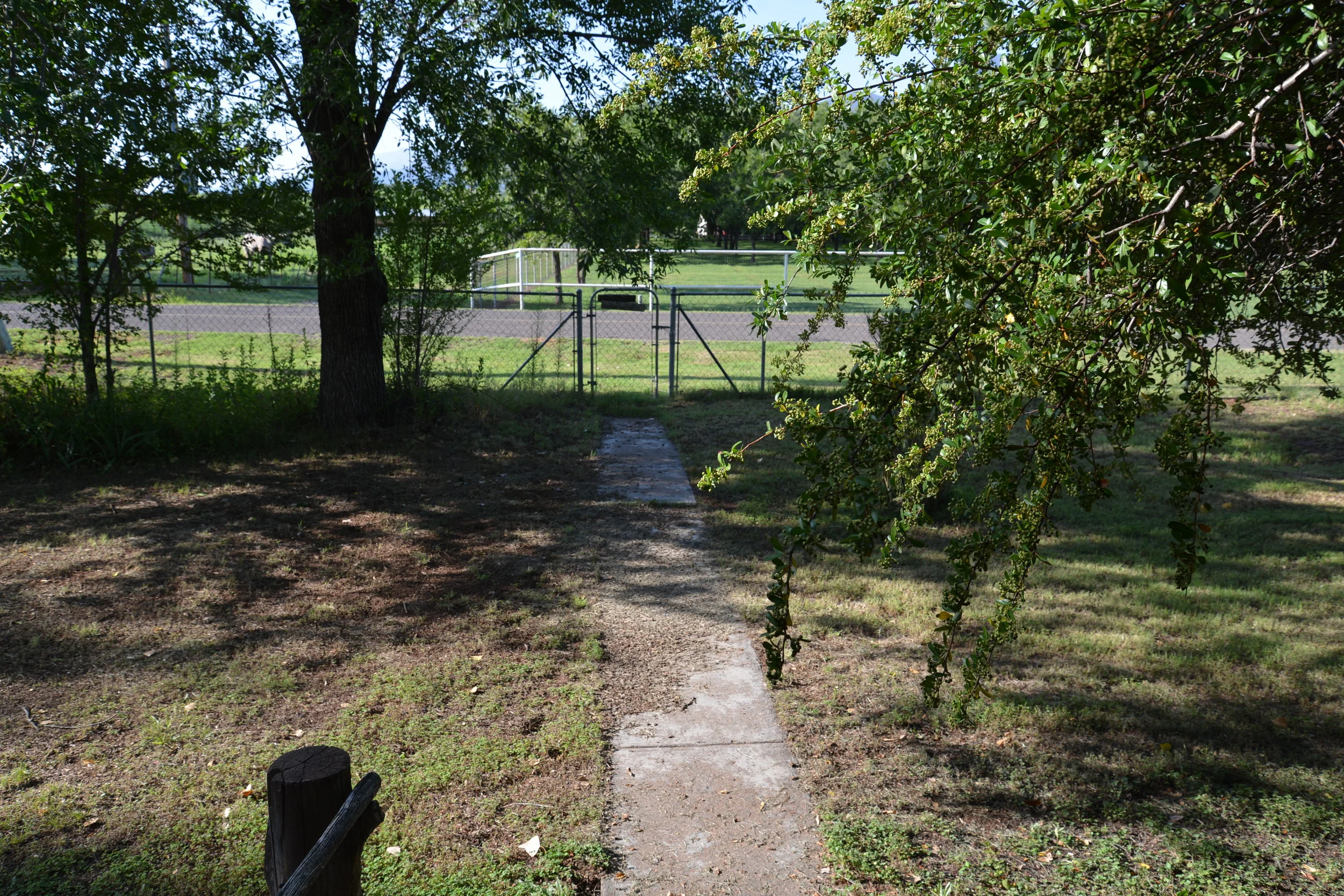 DSC_4444.JPG