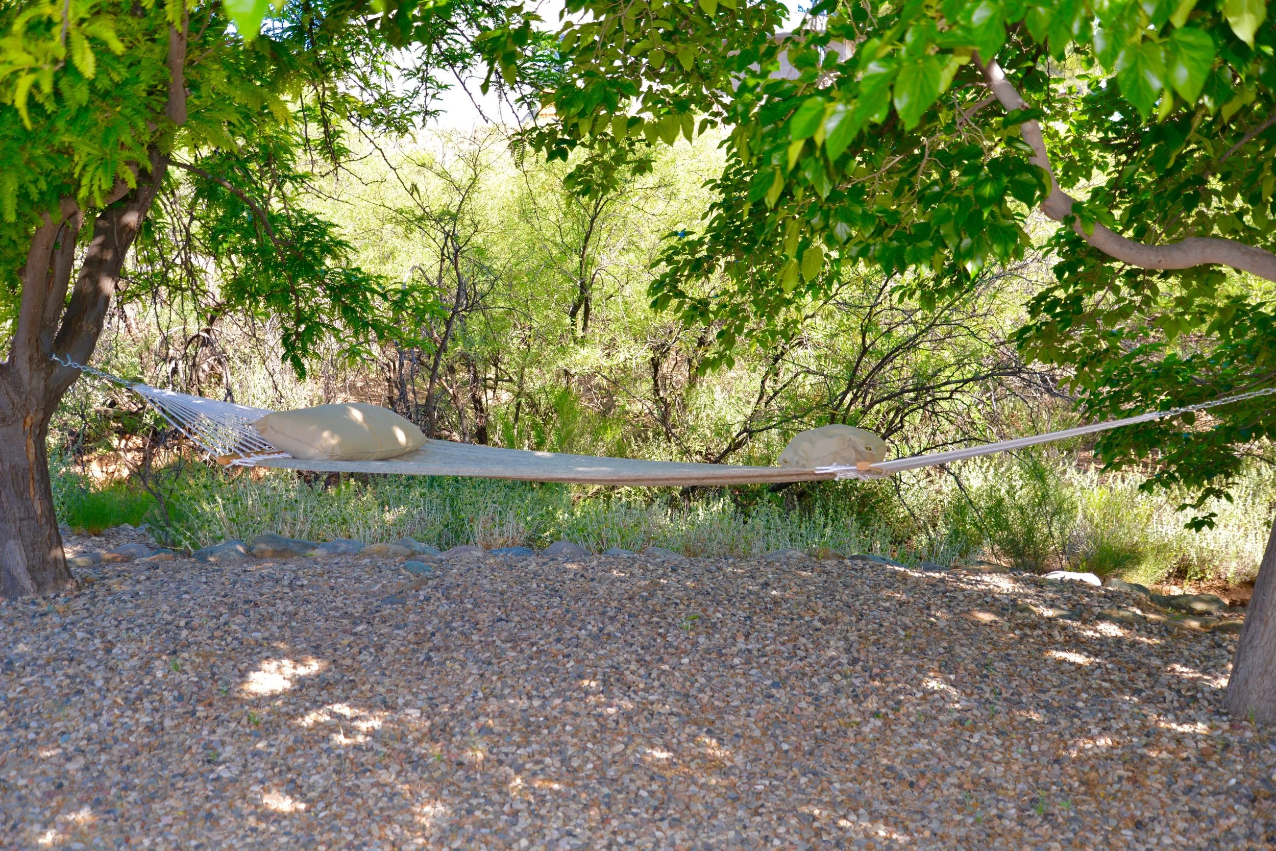 DSC_6216.jpg