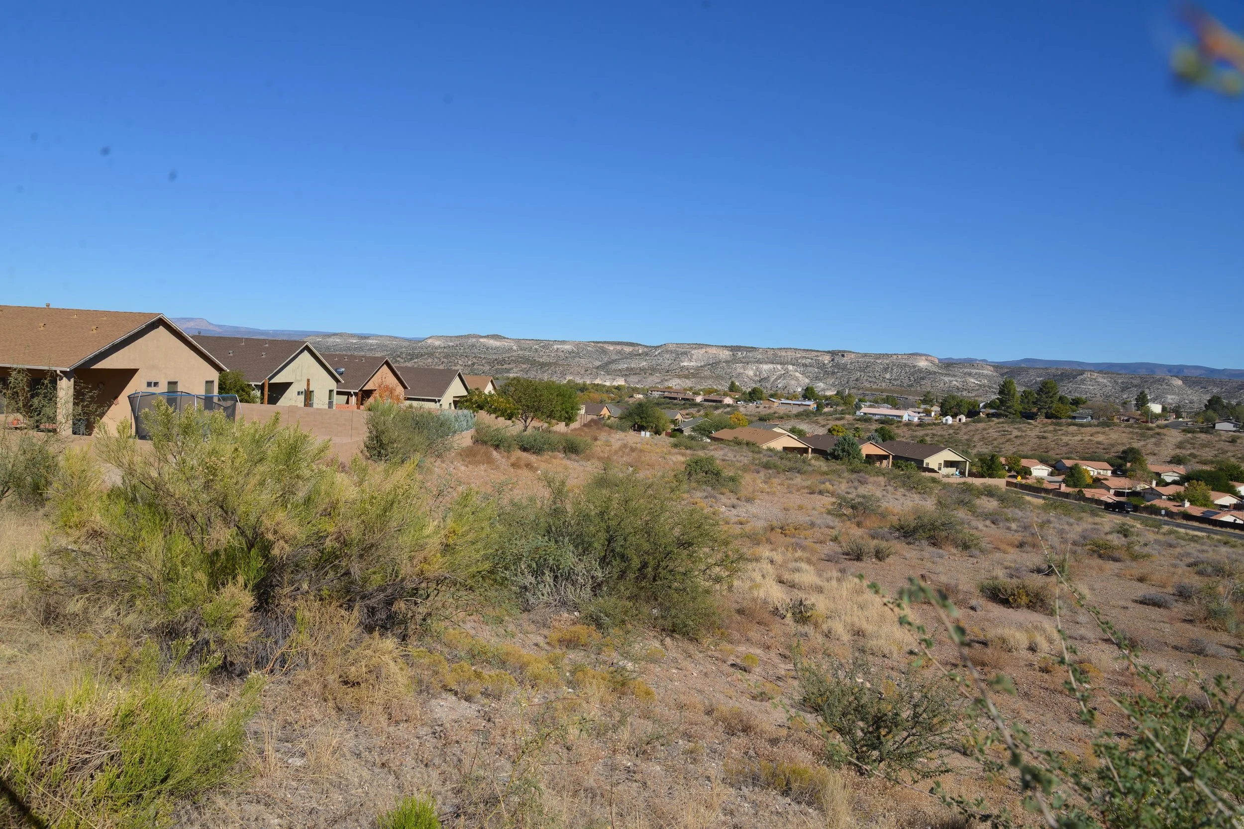 DSC_7308.jpg