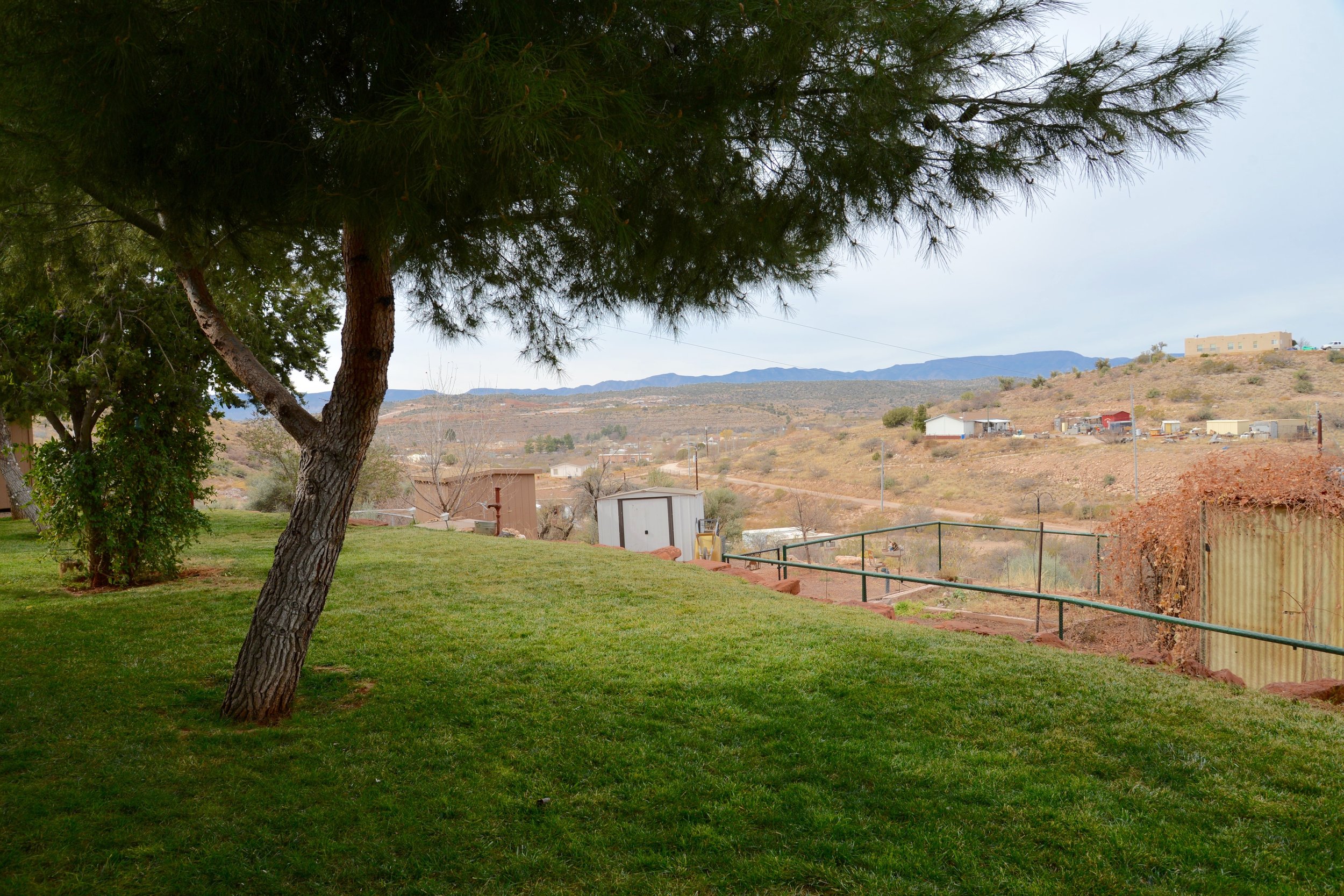 DSC_7319.jpg