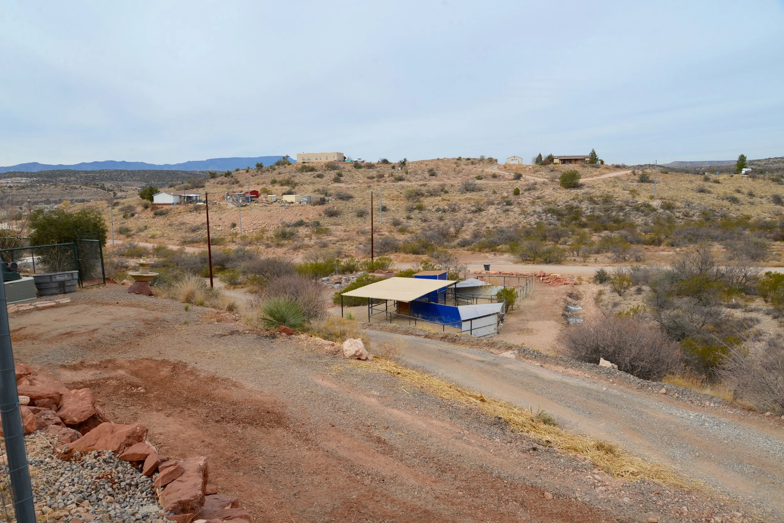 DSC_7336.jpg