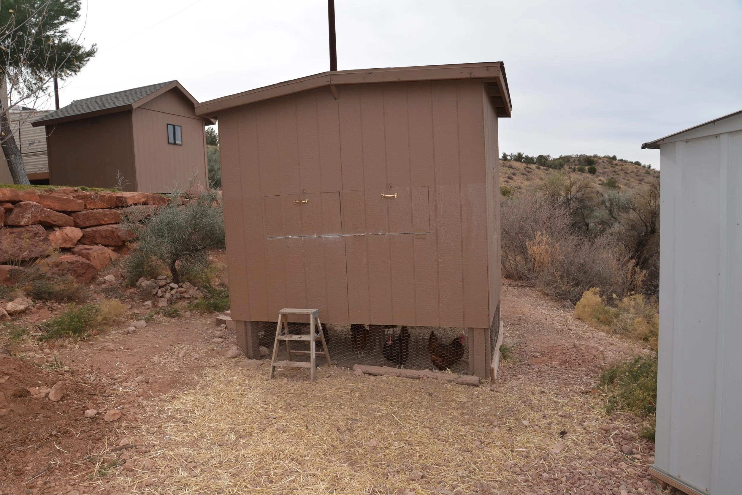 DSC_7347.jpg