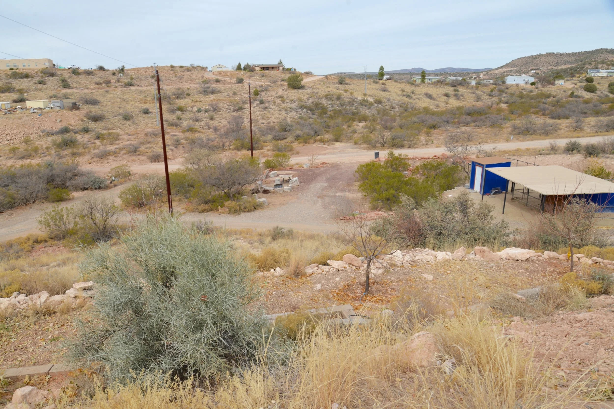 DSC_7353.jpg