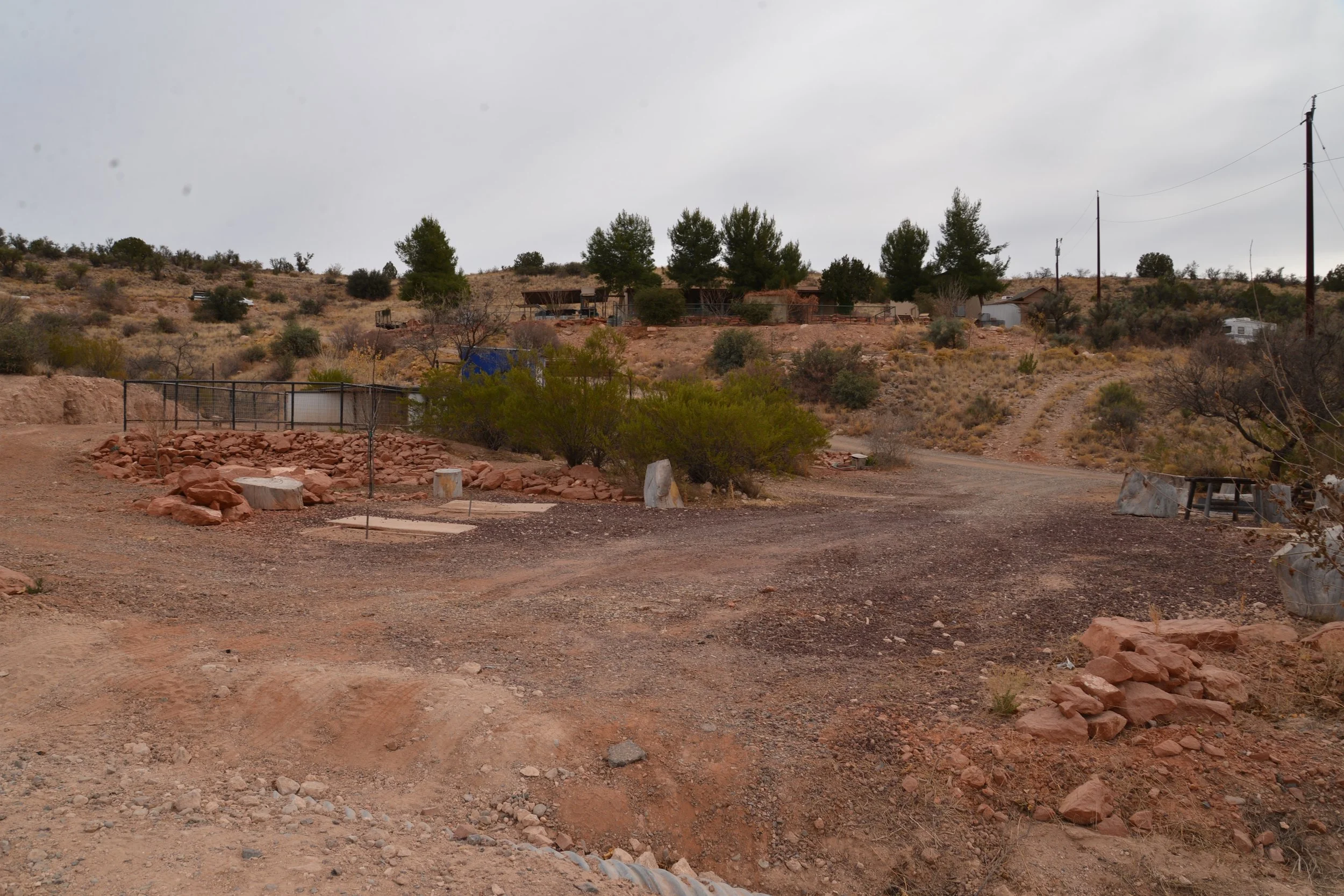 DSC_7390.jpg