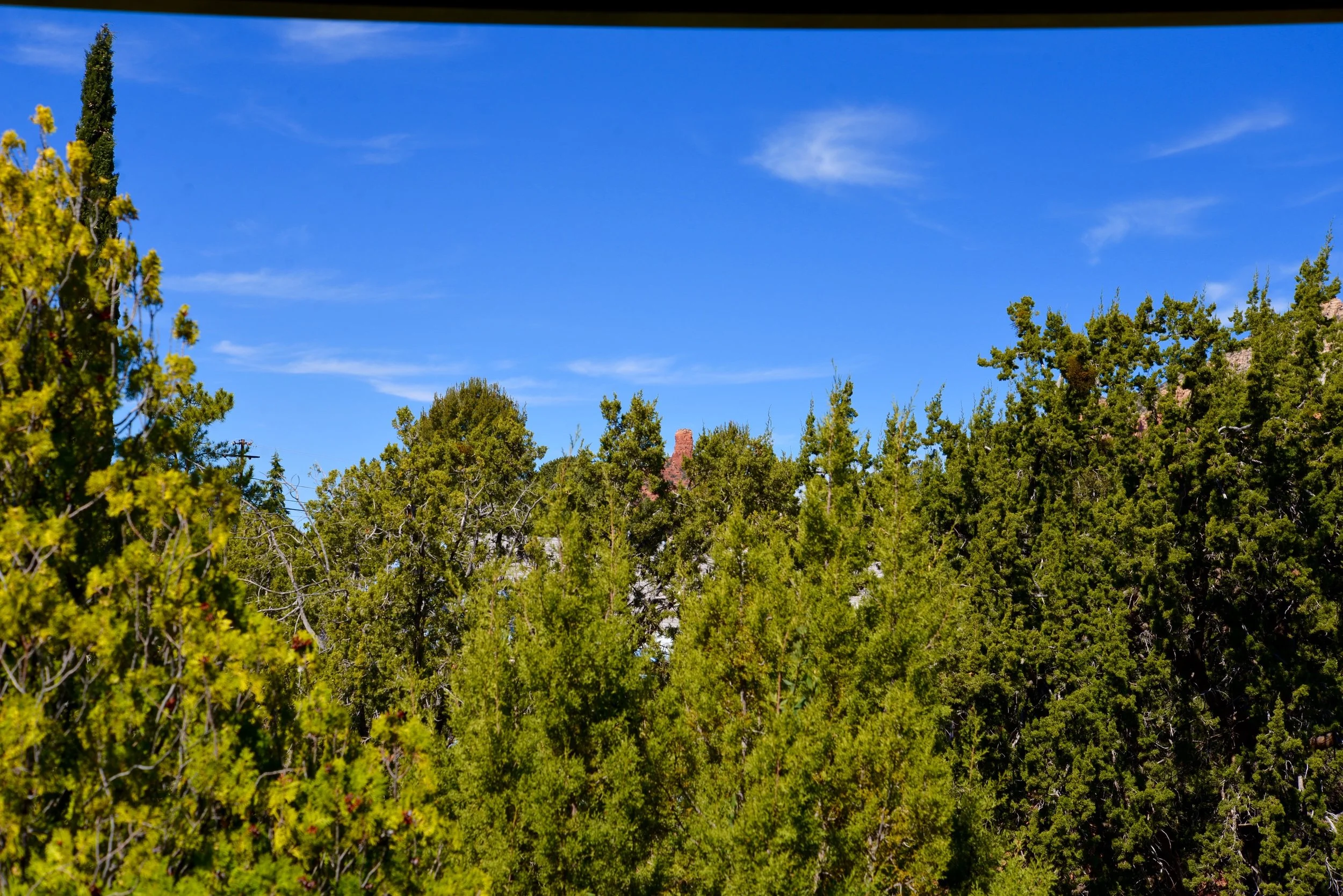 Favorites - 38 of 42.jpg