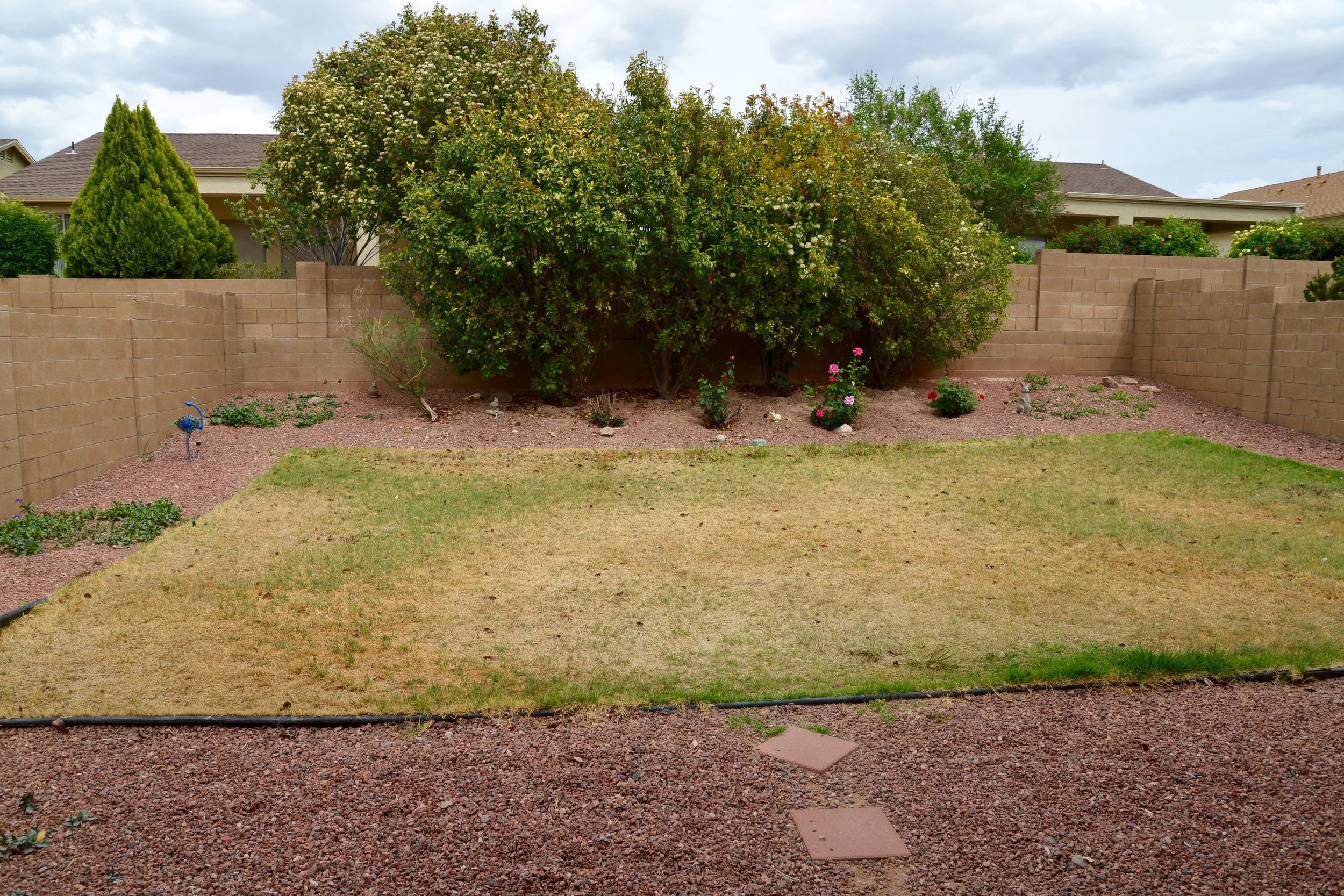 DSC_8407.jpg