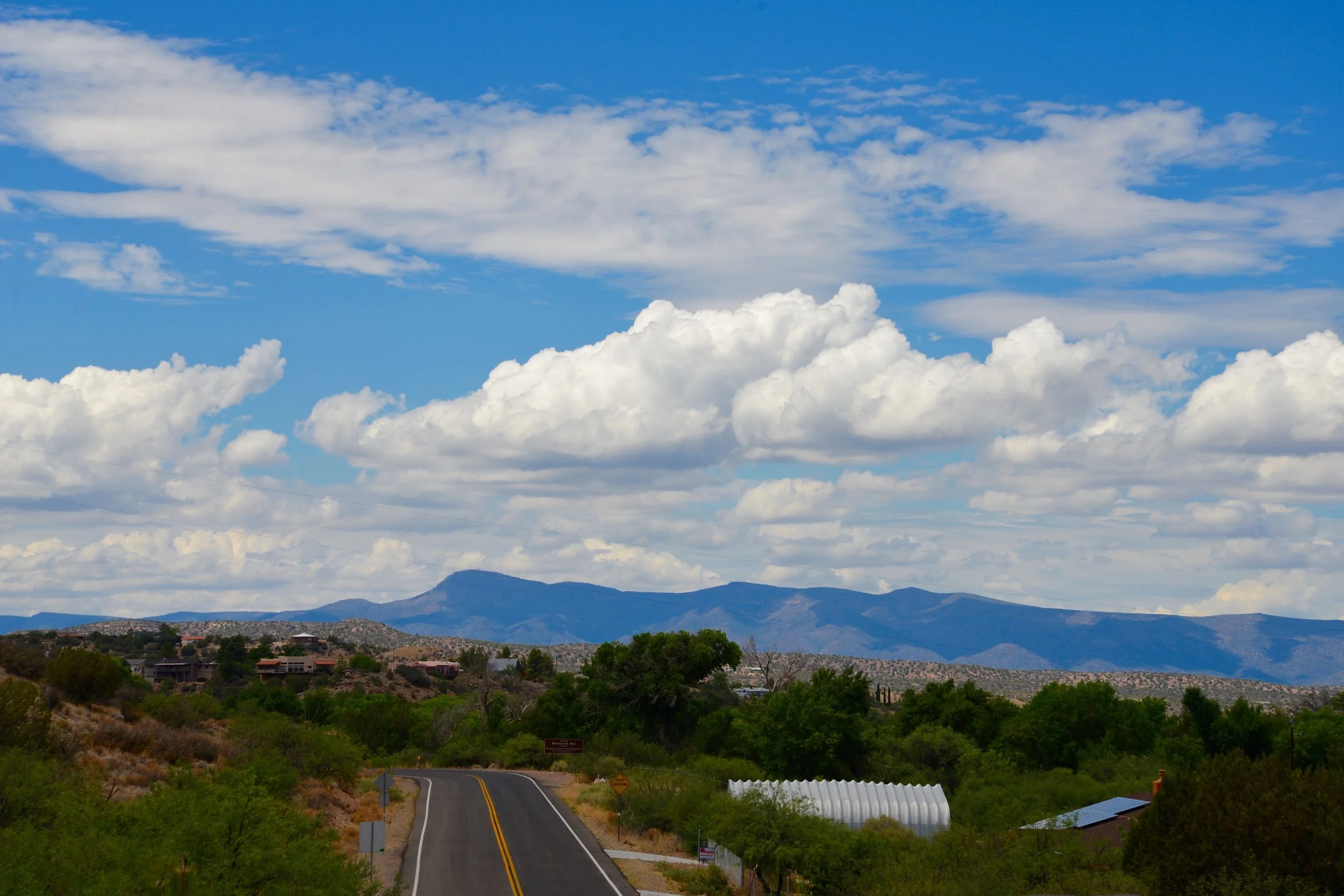 DSC_8547.jpg