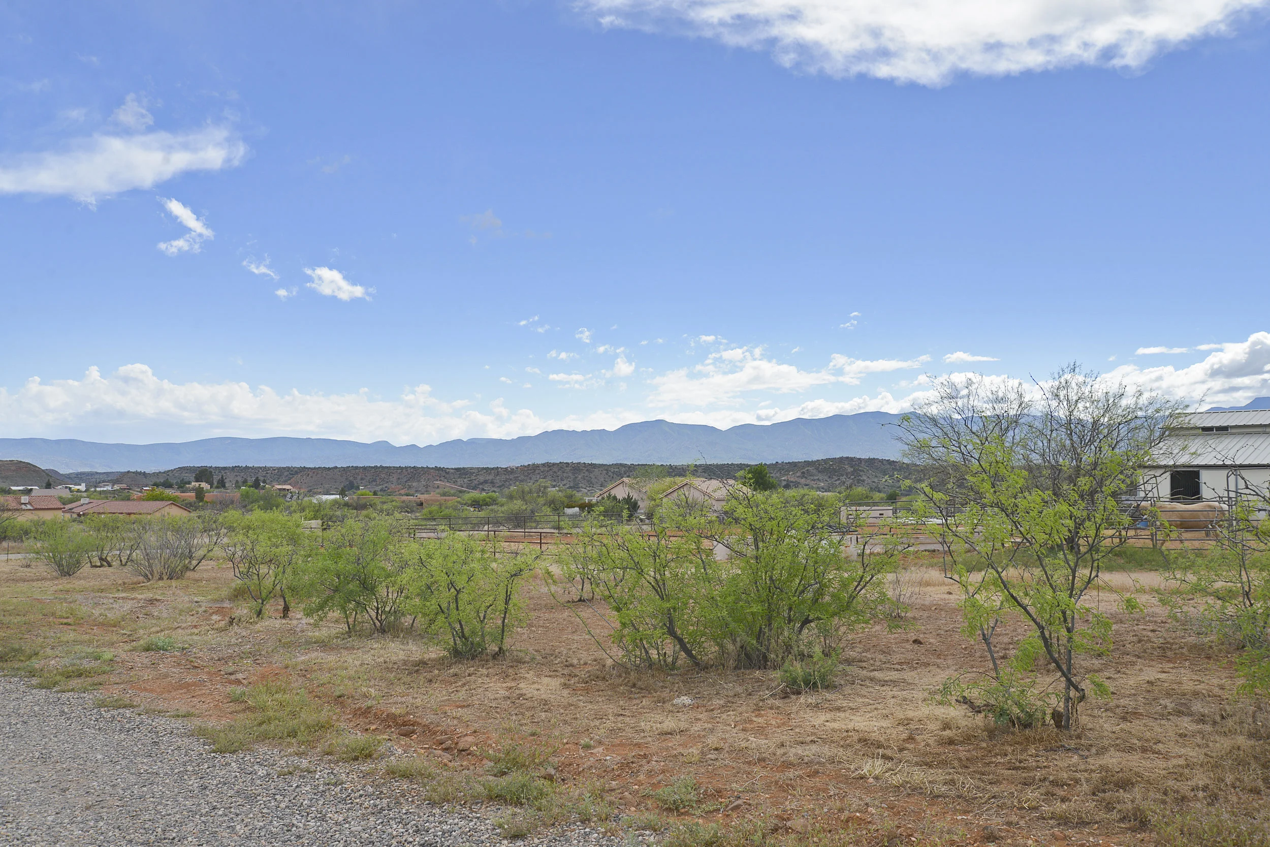 DSC_9788.jpg