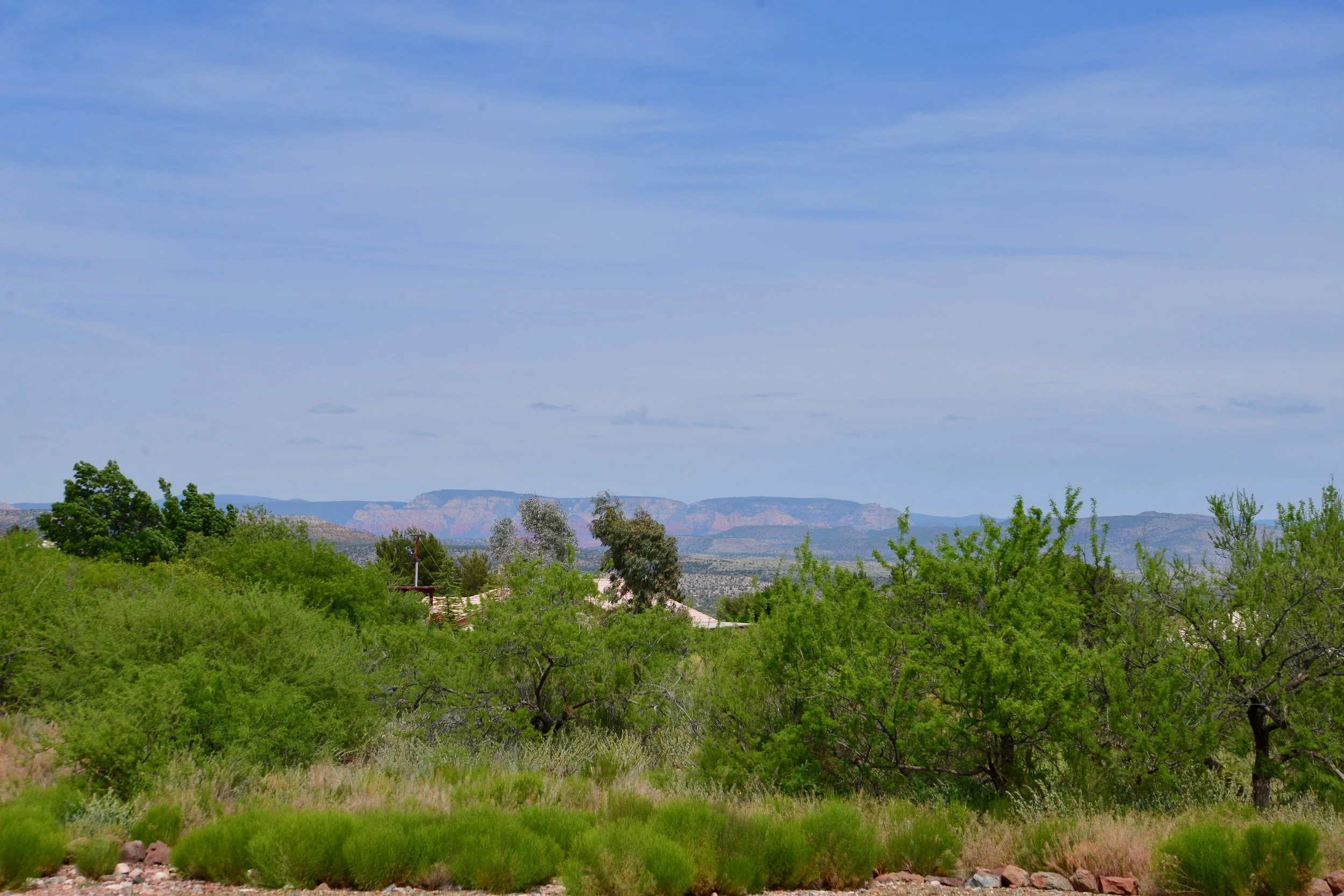 DSC_9858.jpg