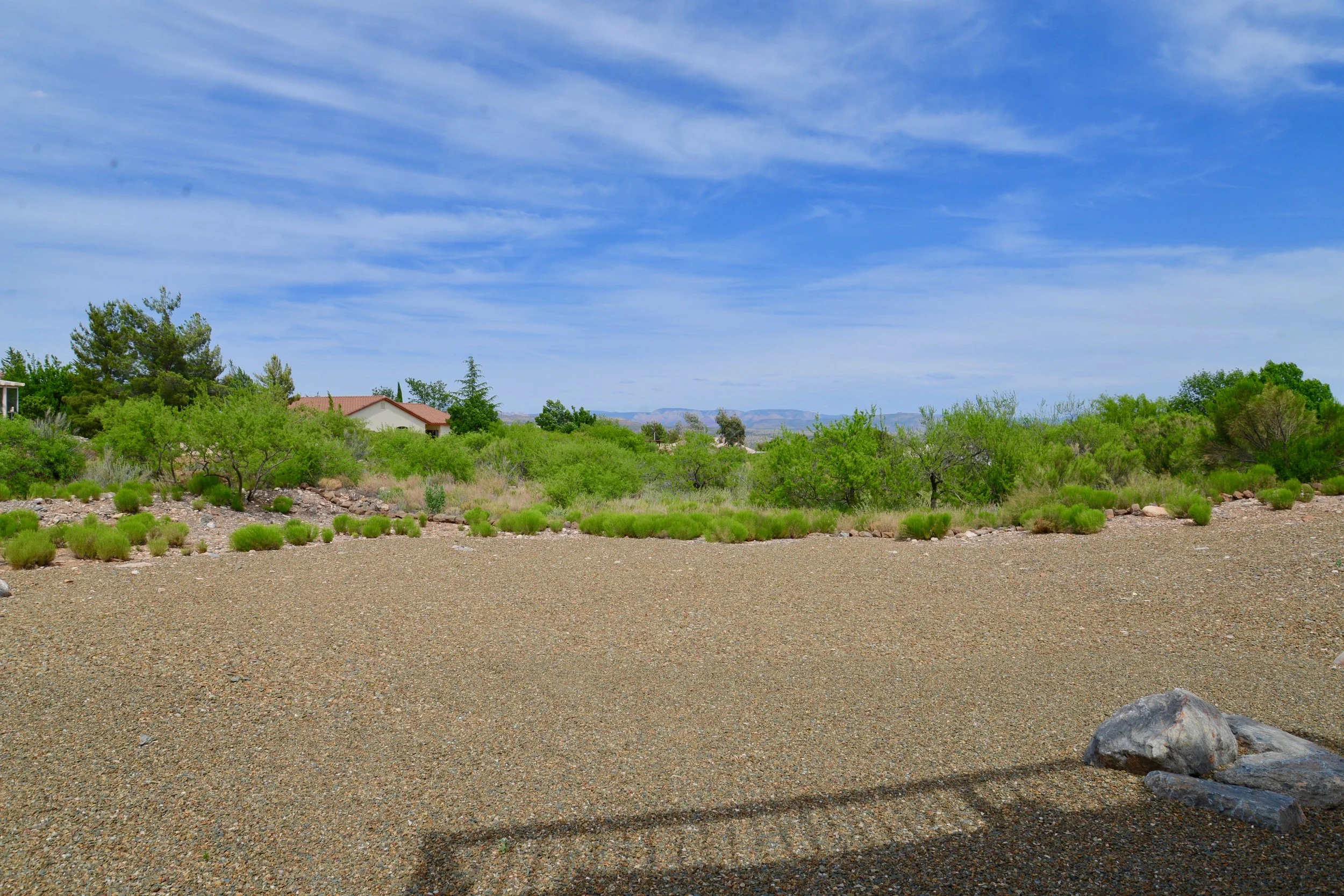 DSC_9855.jpg