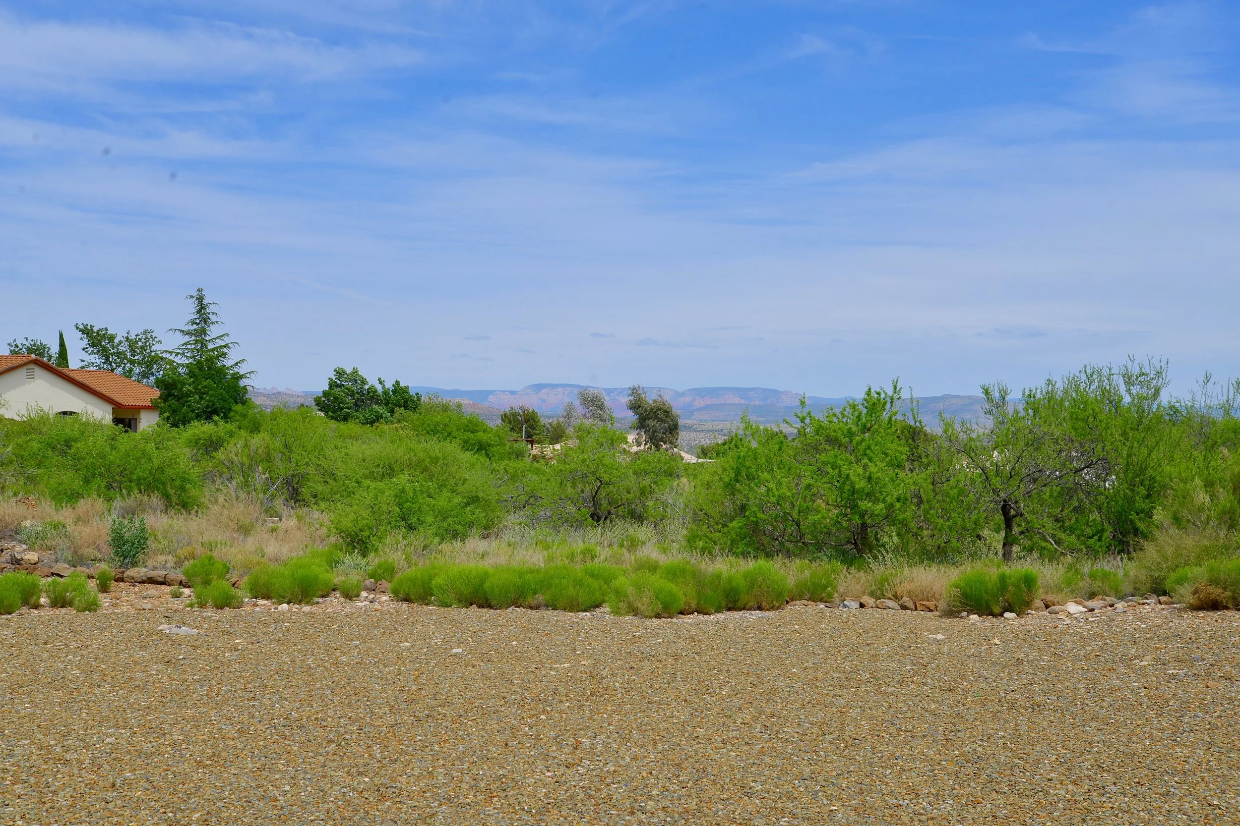 DSC_9856.jpg