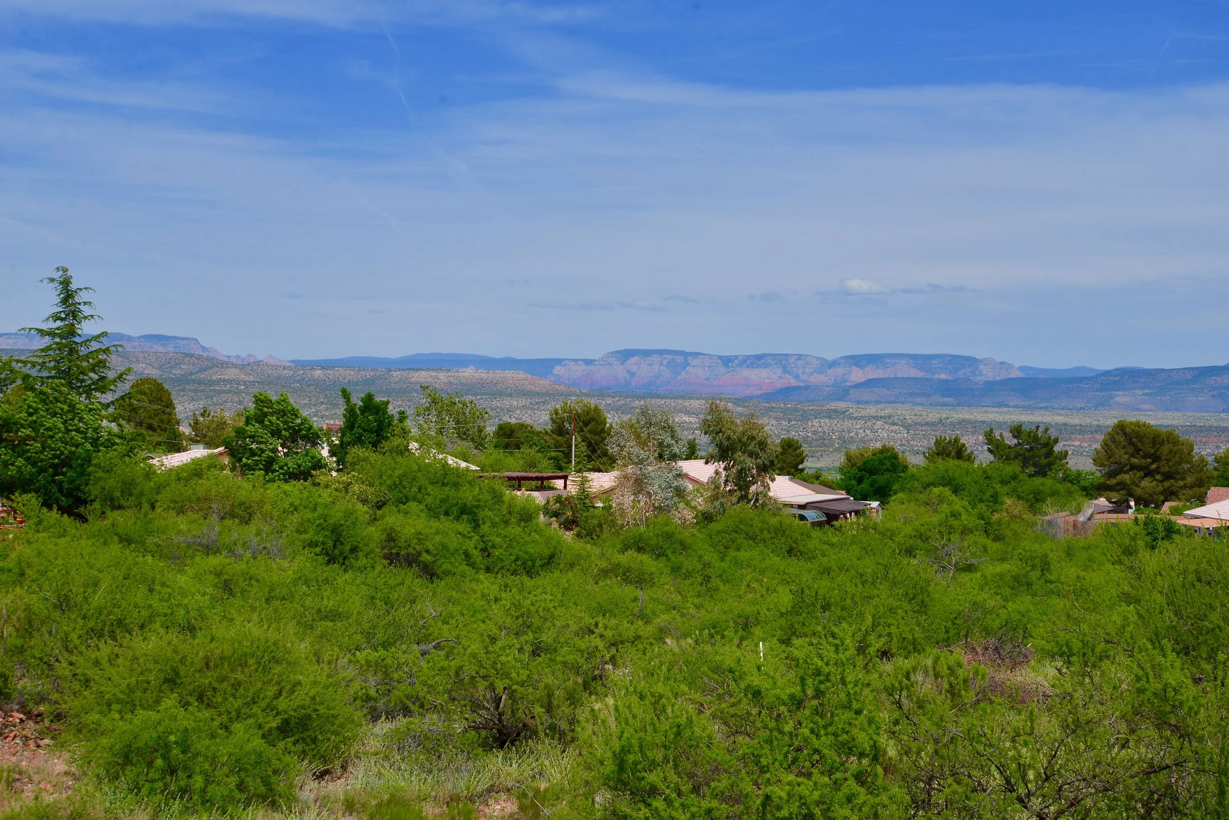 DSC_9894.jpg