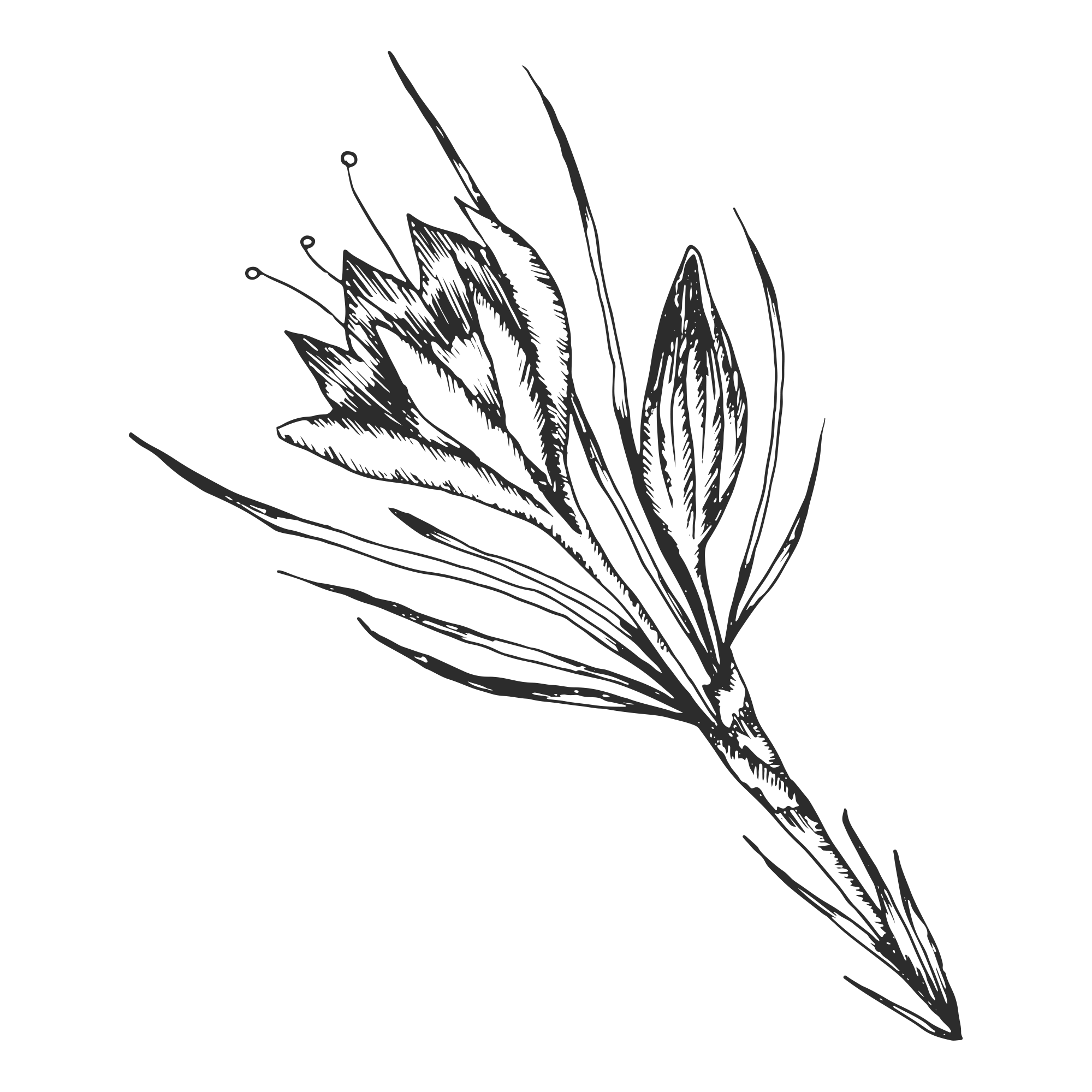 the-morros-photography-courthouse-elopement