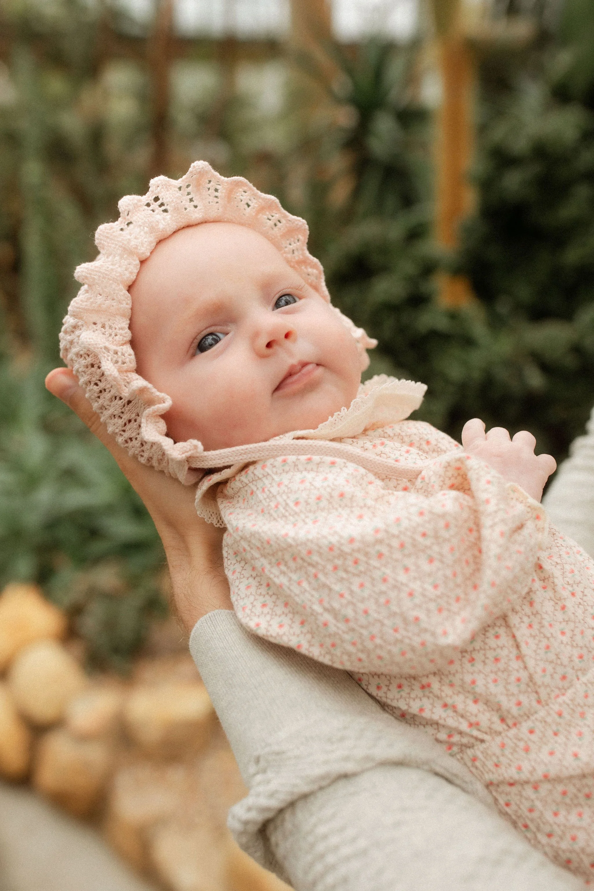 A Sweet Fall Newborn Session at Garfield Park Conservatory
