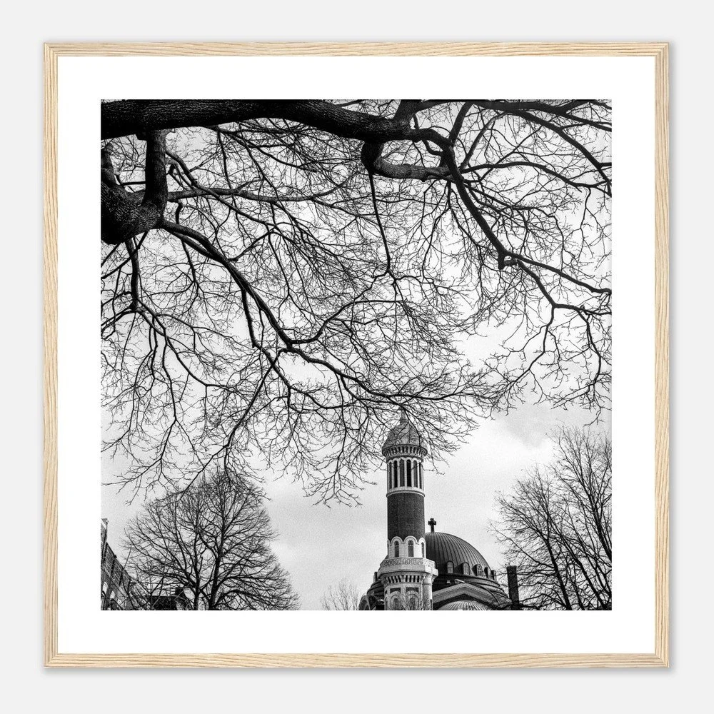 tmp-367-PAOO6RNFIxhP