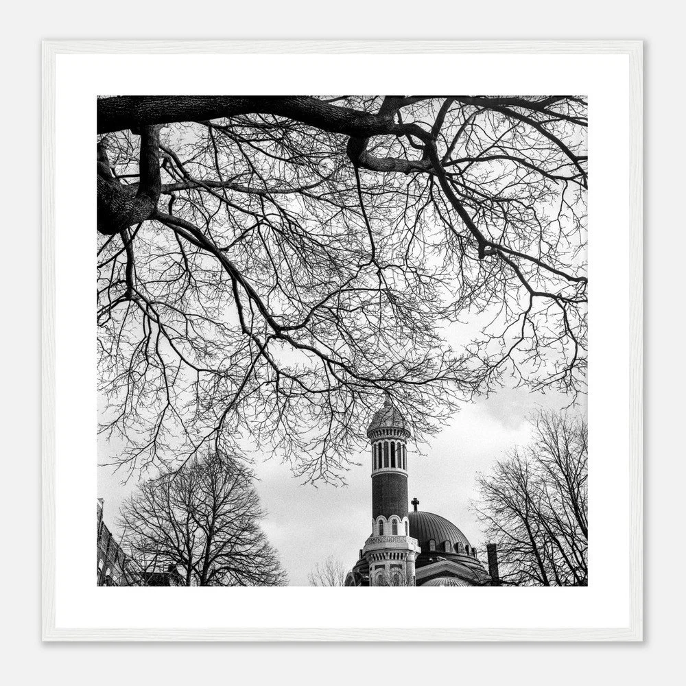 tmp-367-UldRujEs71vW