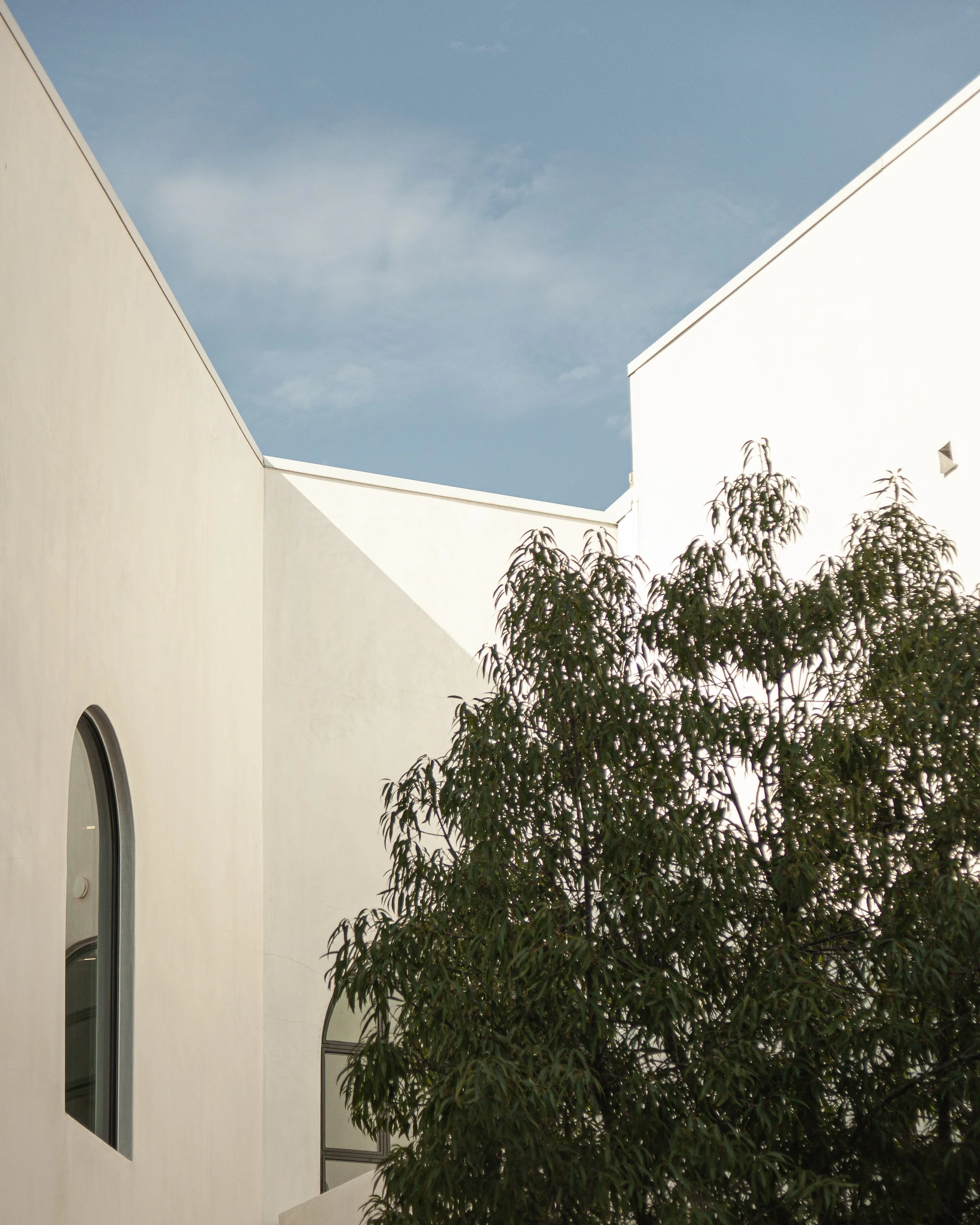 2024-PCC-P1-Selects-5 copy.jpg