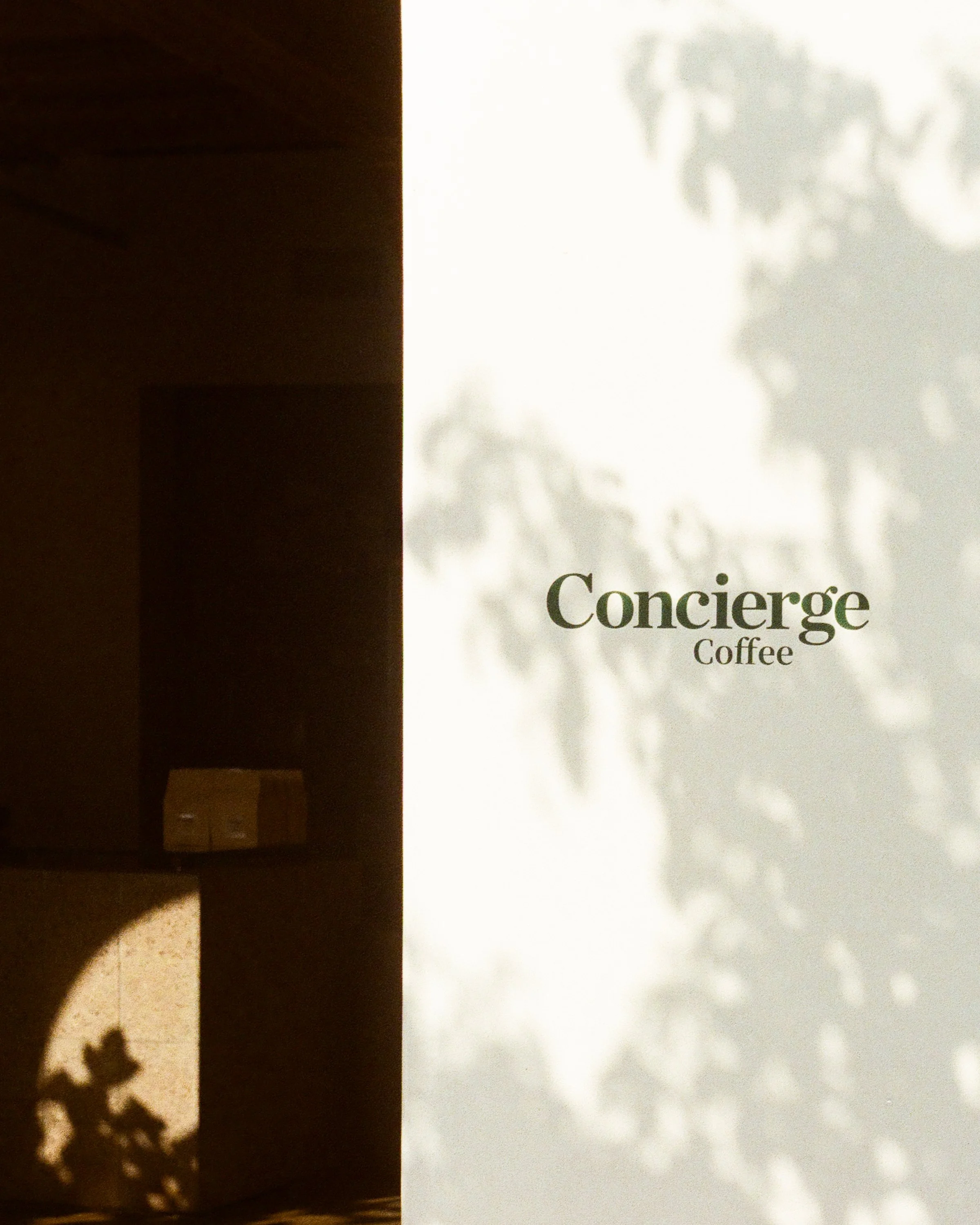 2024-PCC-P1-Selects-6 copy.jpg