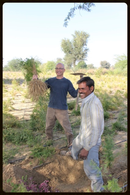 scott cote, co owner of banyan botanicals harvesting shatavari