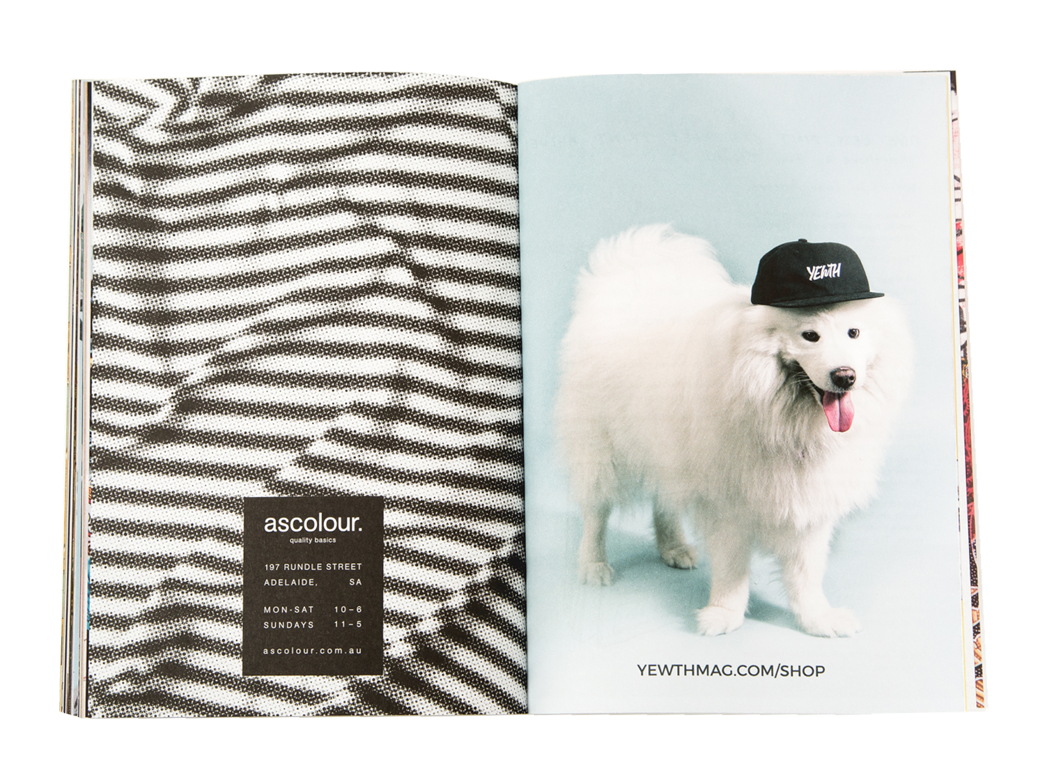 Single page print ads.