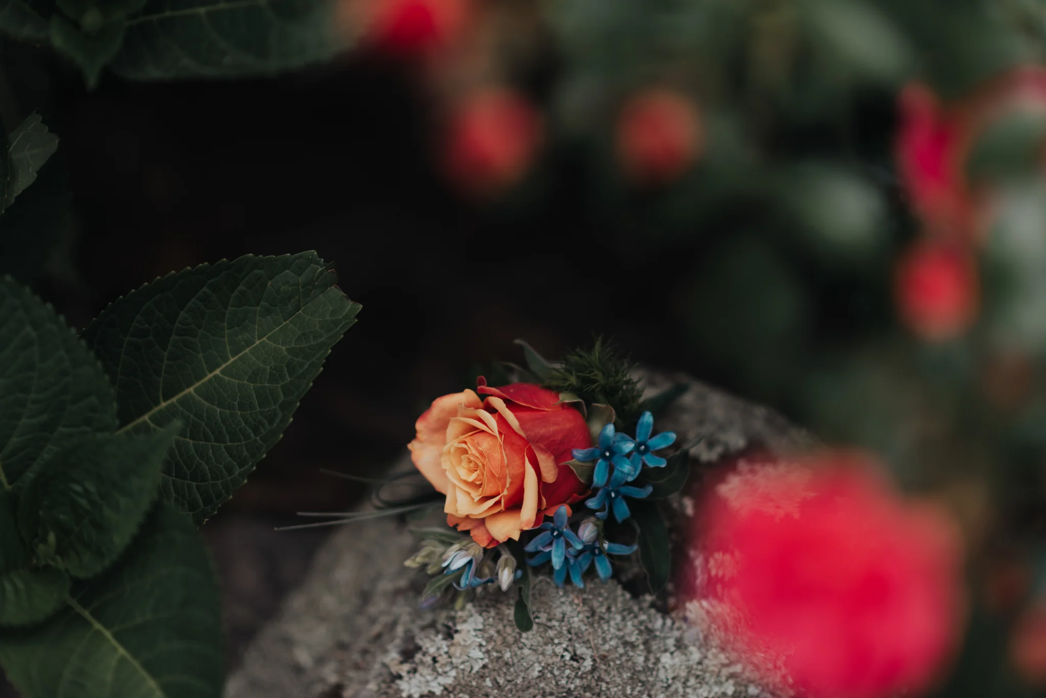 LOVELENSCAPES PHOTOGRAPHY • VISUAL POETRY • NEW ZEALAND WEDDING PHOTOGRAPHER • AUSTRALIAN WEDDING PHOTOGRAPHER • BRISBANE • MELBOURNE • SYDNEY • HOBART • TARUREKA ESTATE • ANNA CAMPBELL • 88.jpg