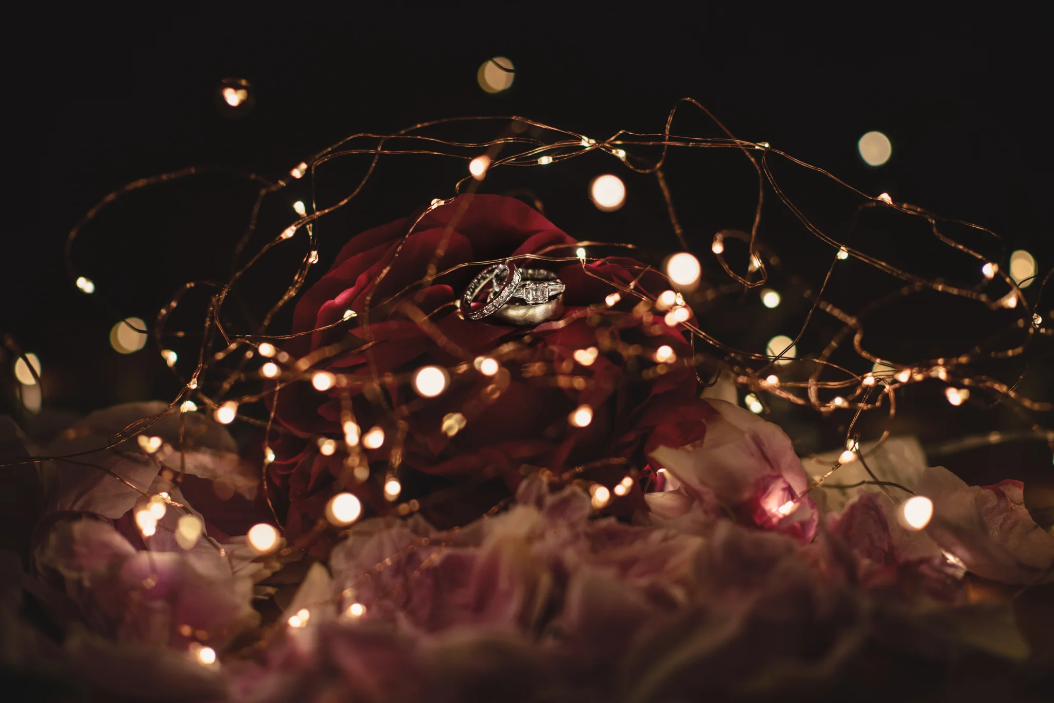 LOVELENSCAPES PHOTOGRAPHY • VISUAL POETRY • NEW ZEALAND WEDDING PHOTOGRAPHER • AUSTRALIAN WEDDING PHOTOGRAPHER • BRISBANE • MELBOURNE • SYDNEY • HOBART • TARUREKA ESTATE • ANNA CAMPBELL • 182.jpg