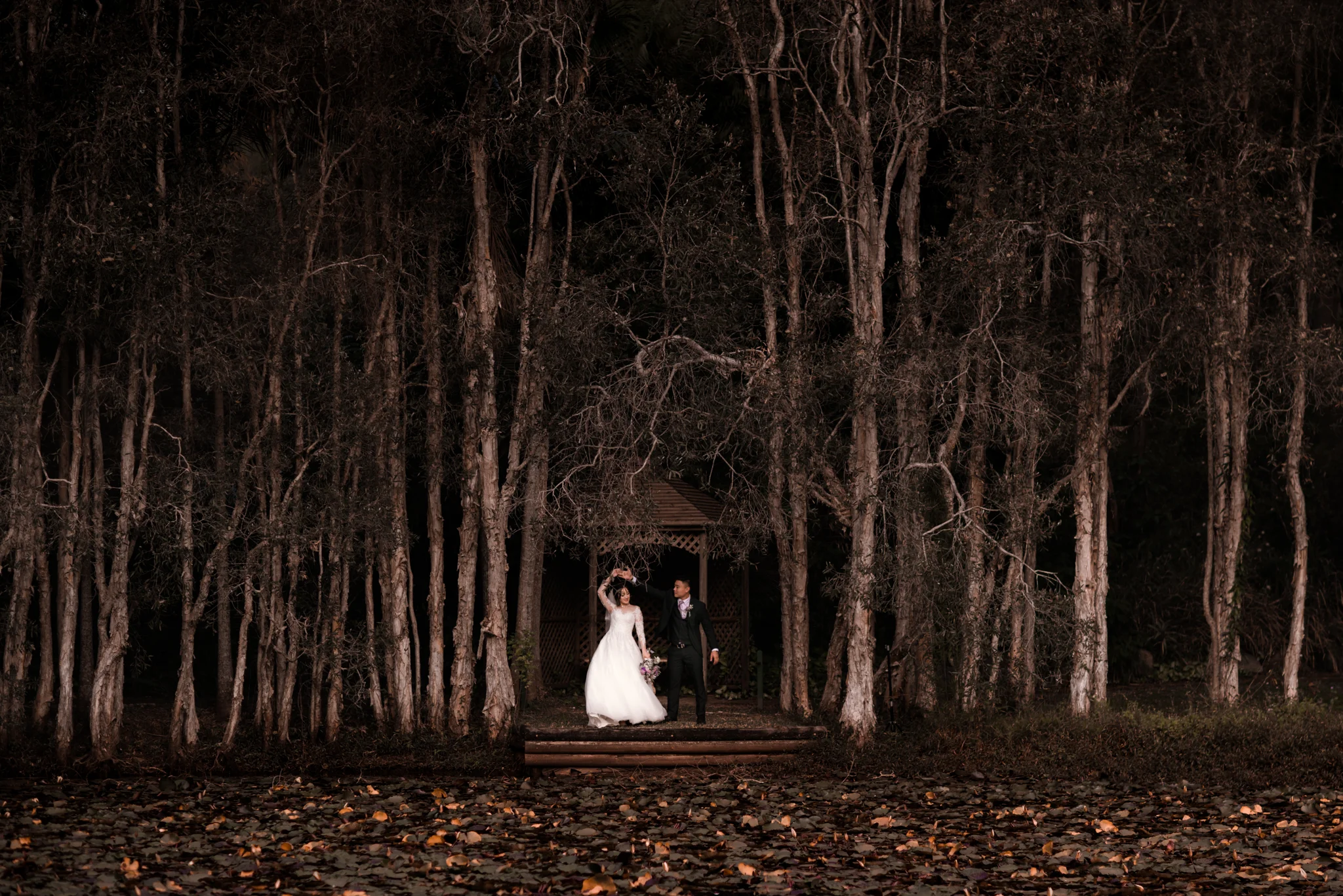 LOVELENSCAPES PHOTOGRAPHY • M + D • COOLIBAH DOWNS • TAMBORINE WEDDING • 393.jpg