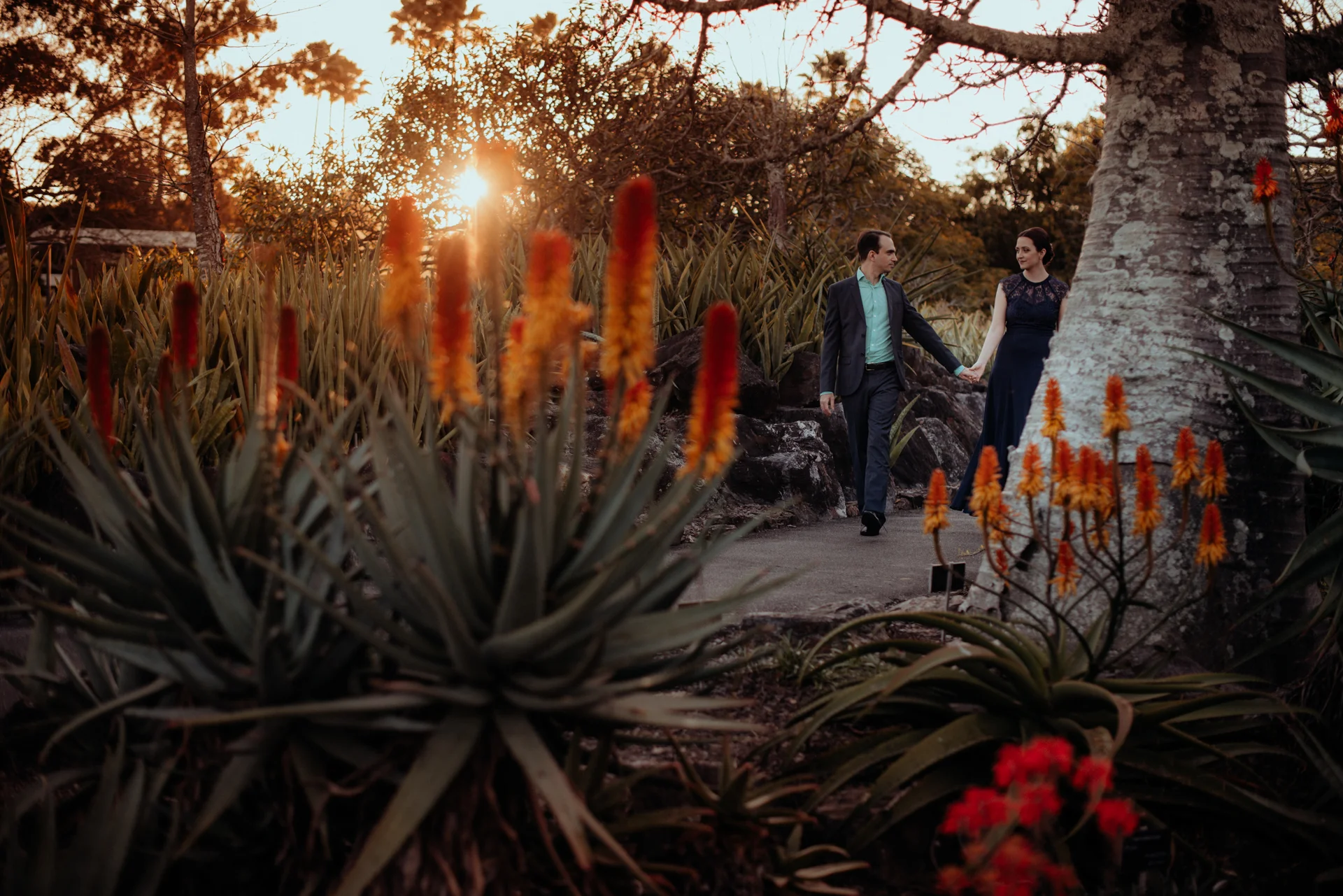 LOVELENSCAPES PHOTOGRAPHY • MOUNT COOT-THA BOTANIC GARDENS • BRISBANE ENGAGEMENT PHOTOGRAPHY • L+M • 33.jpg