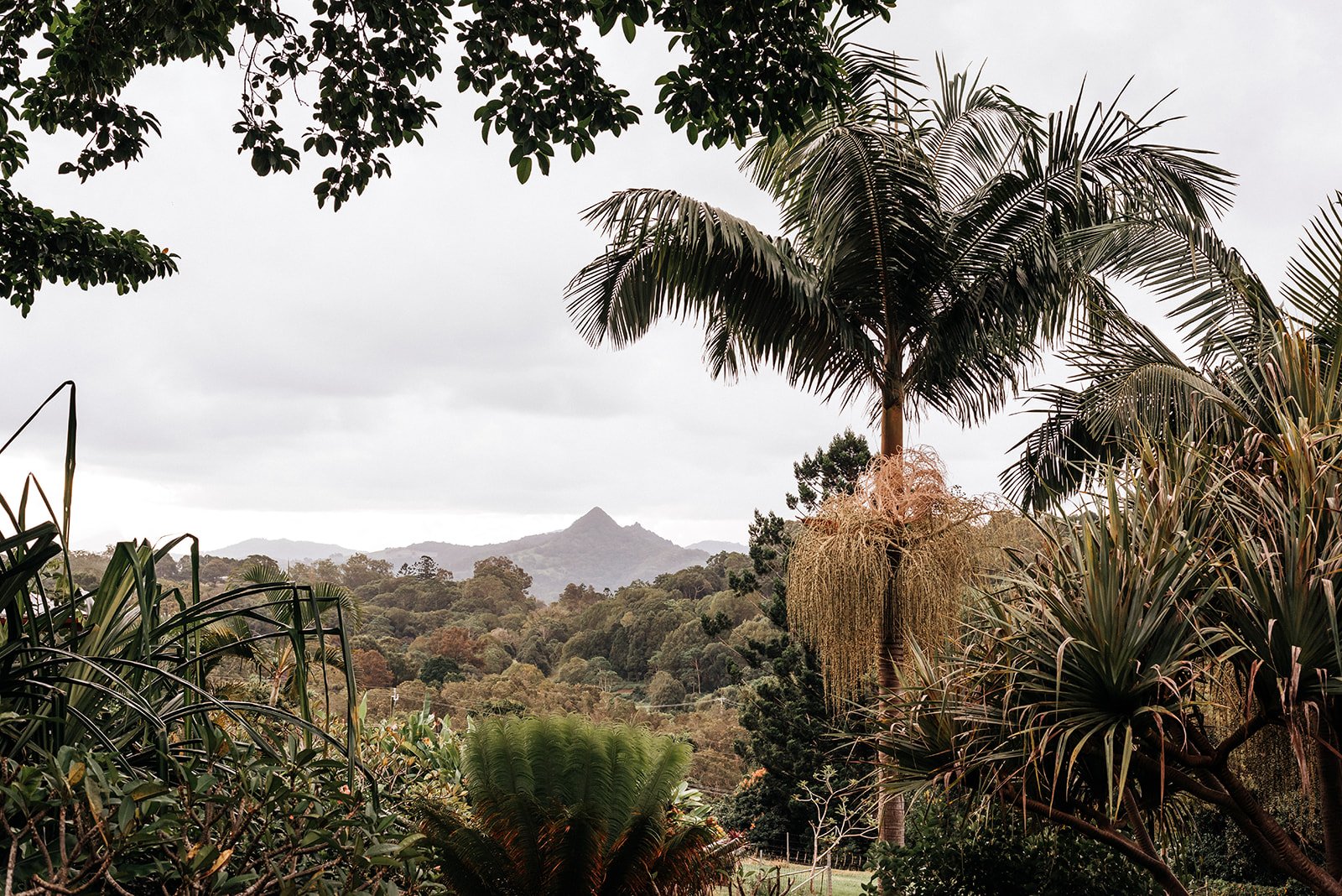 LOVELENSCAPES • The Figs Byron Bay Wedding • Chosen by Kyha • T&C • 392_websize.jpg